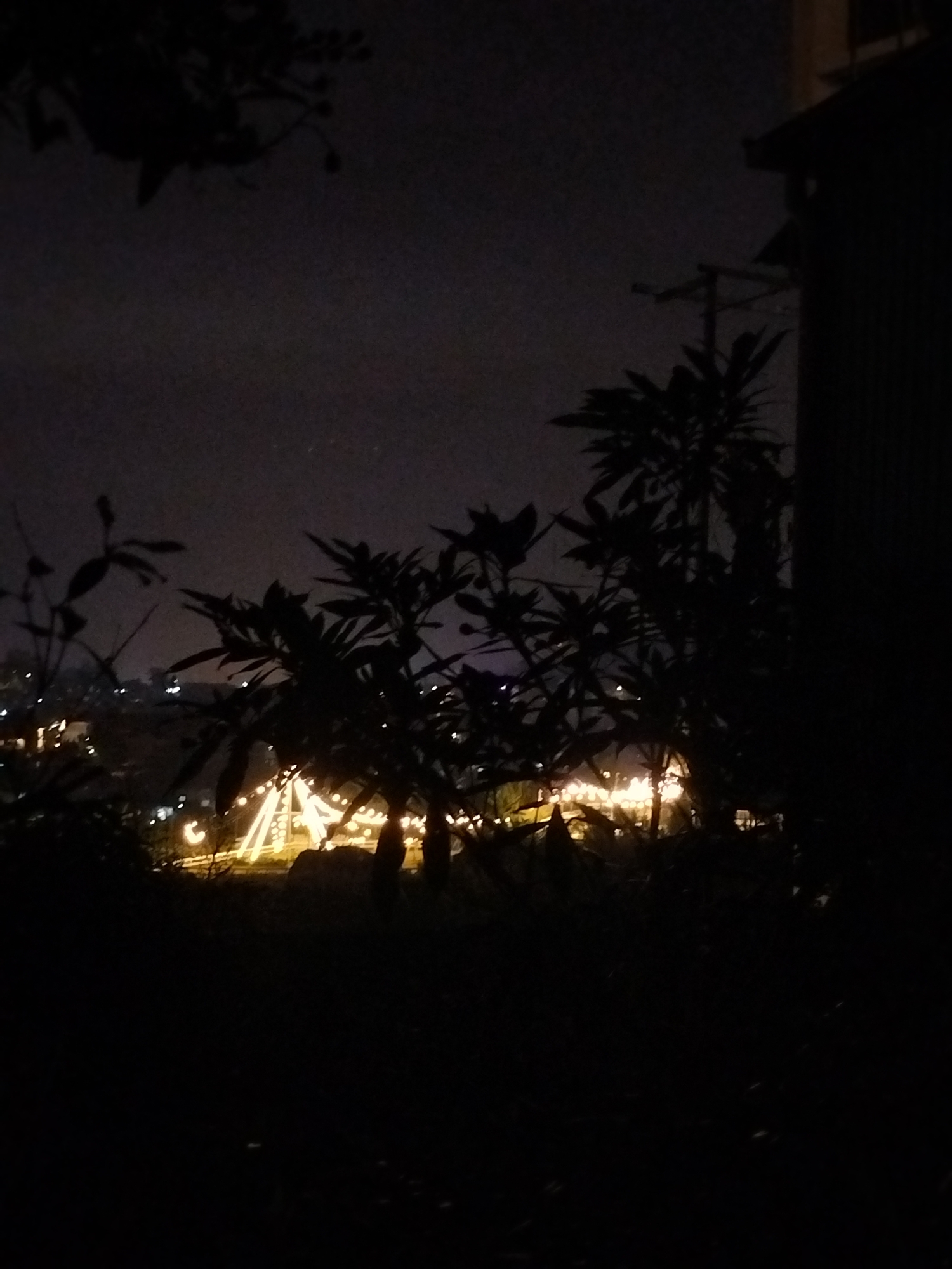 The image shows a night view in Da Lat, Vietnam. In the foreground, silhouetted vegetation frames the scene. Through the foliage, a view of a lit area is visible. The lit area appears to be a decorated public space, possibly a park or square, with structures illuminated by warm-toned lights. The sky is dark, suggesting a nighttime setting. To the right, part of a building is visible. Power lines can be seen on the right.
