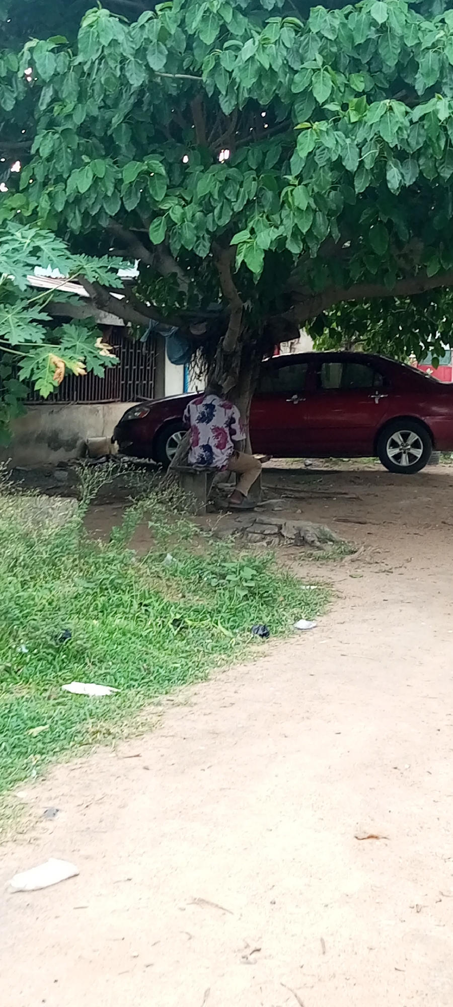 A man sits under a large tree in Adankolo, Nigeria. The tree is densely covered in green leaves, providing shade. A red sedan car is parked partially under the tree's canopy. A building is partially visible behind the car. The man is wearing a patterned shirt and khaki pants. The ground is sandy and has patches of grass and some litter.