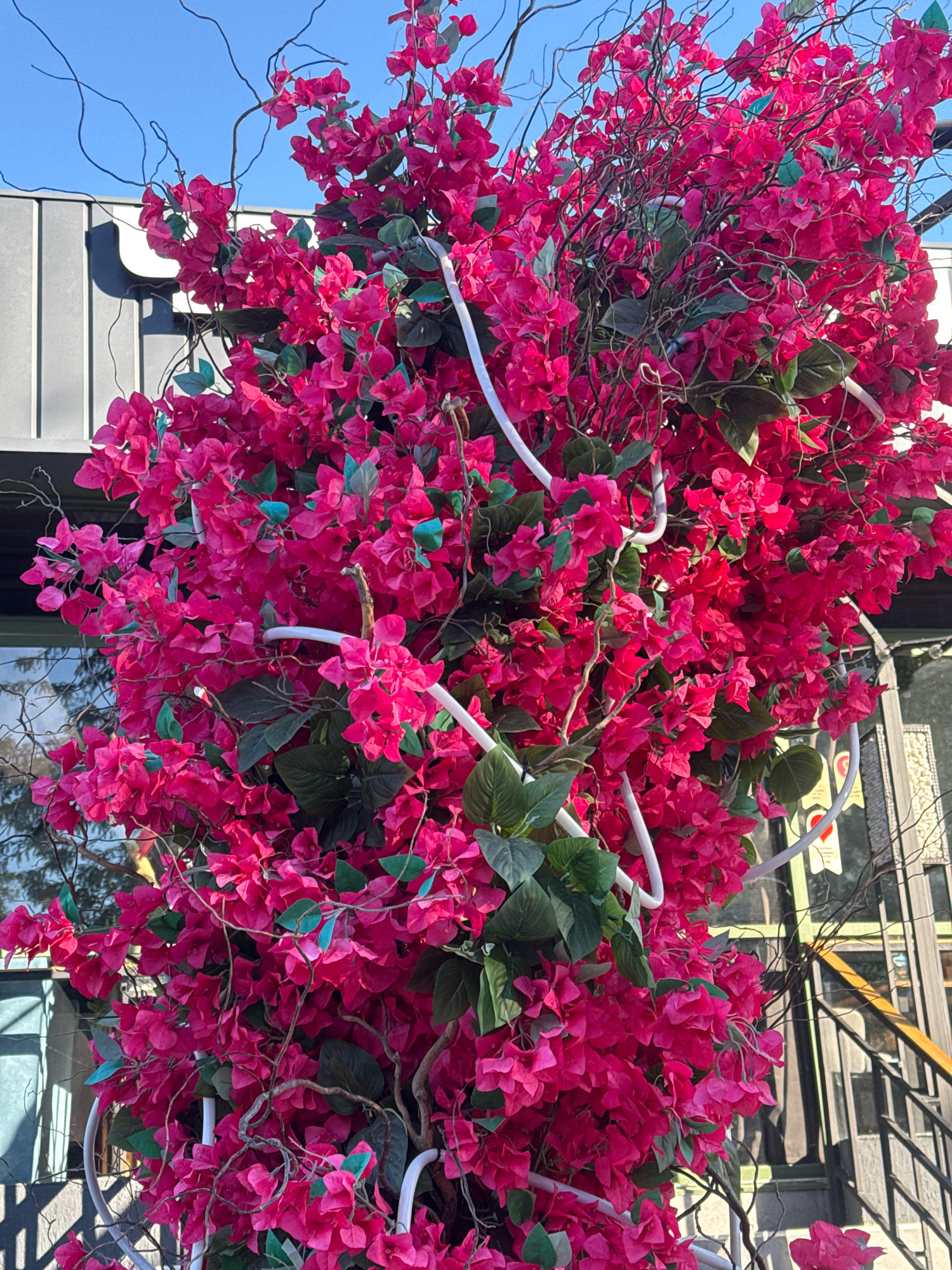 A vibrant, overhead shot captures a dense cluster of artificial fuchsia bougainvillea flowers, interspersed with dark green leaves and thin, twisted brown branches. White, tubular lights are artfully woven throughout the floral arrangement, some coiled and others extending outwards. In the background, a modern building with a grey, ribbed facade is visible, along with large windows reflecting the bright blue sky and trees. A black metal staircase with a railing can be seen to the right, ascending out of frame. The scene appears to be an outdoor decoration, possibly for a storefront or public space in Anapa, Russia, designed to create a festive and eye-catching display.
