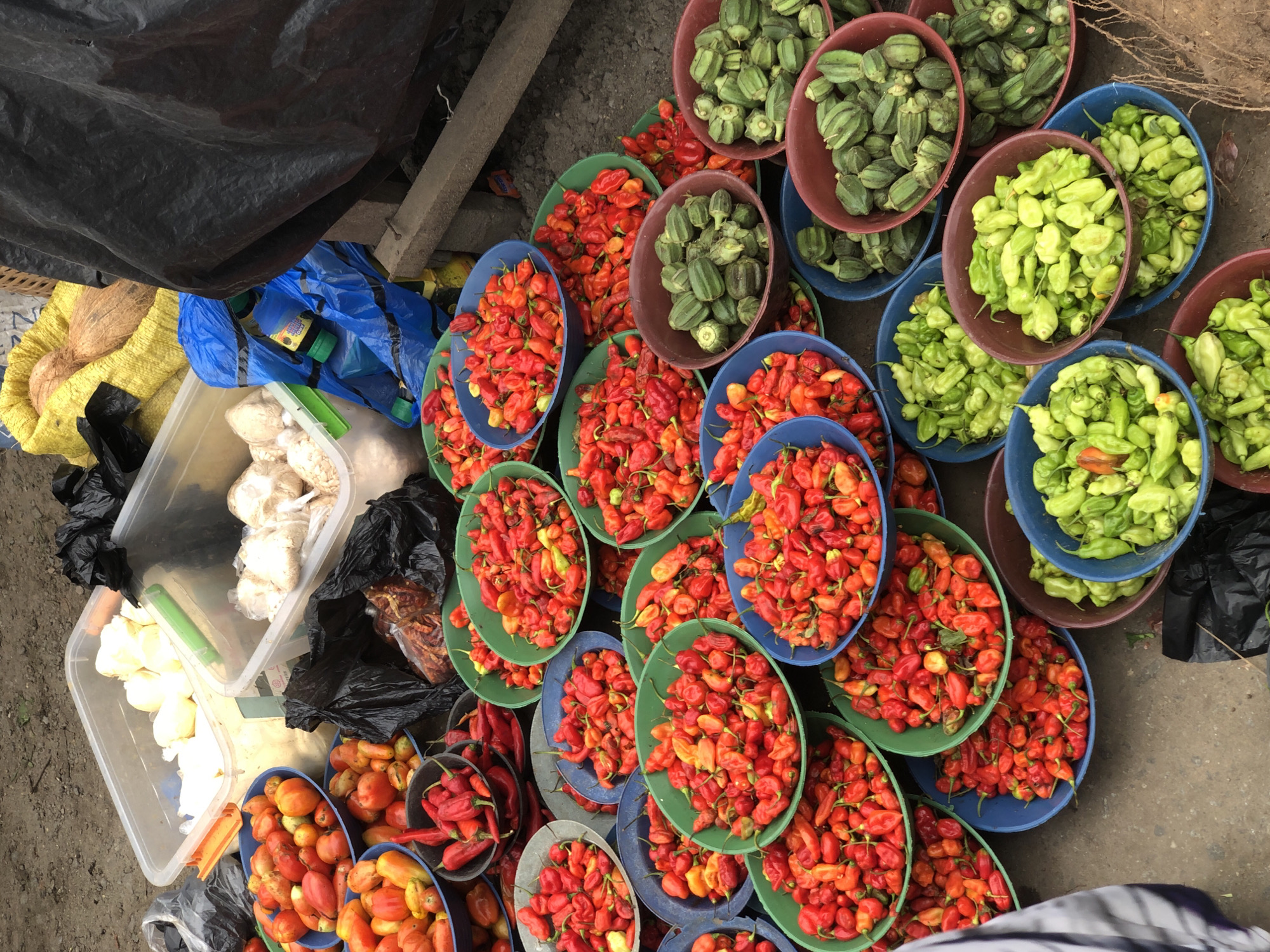 The image depicts a vibrant street market scene, likely in Lagos, Nigeria, overflowing with an abundance of fresh produce. Several large, clear plastic containers are visible in the background, filled with what appears to be onions or garlic. Adjacent to these, a large black tarp is draped over a structure, hinting at more market goods or shelter.
The foreground is dominated by an array of bowls and basins overflowing with various types of peppers and okra. Numerous red and orange peppers, some small and intensely colored, others larger and more elongated, are piled high in blue, green, and brown bowls. Among these, there are also bowls filled with green peppers, some appearing to be a variety of sweet pepper or chili. Several bowls contain green okra, its ridged pods stacked neatly.
The ground beneath the produce is a dusty, earthy surface, typical of an outdoor market. The overall impression is one of a bustling marketplace, with a focus on fresh, locally sourced ingredients. The sheer volume and variety of peppers suggest a culture where these are a staple ingredient. The presence of coconuts, partially visible in a yellow bag in the background, further confirms a tropical setting.