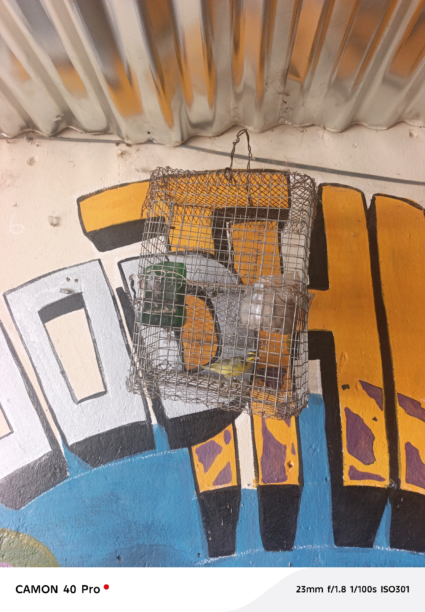 A medium, eye-level shot shows a small wire cage hanging against a graffitied wall, likely in an urban setting. Inside the cage, there is a bird, along with containers of water and food. The graffiti features geometric shapes in white, gray, yellow, black, and blue, on a light peach or off-white background. Above the wall is a corrugated metal sheet, likely serving as a roof or overhang. The scene is illuminated by diffused natural light. The image was taken in Jos, Nigeria.