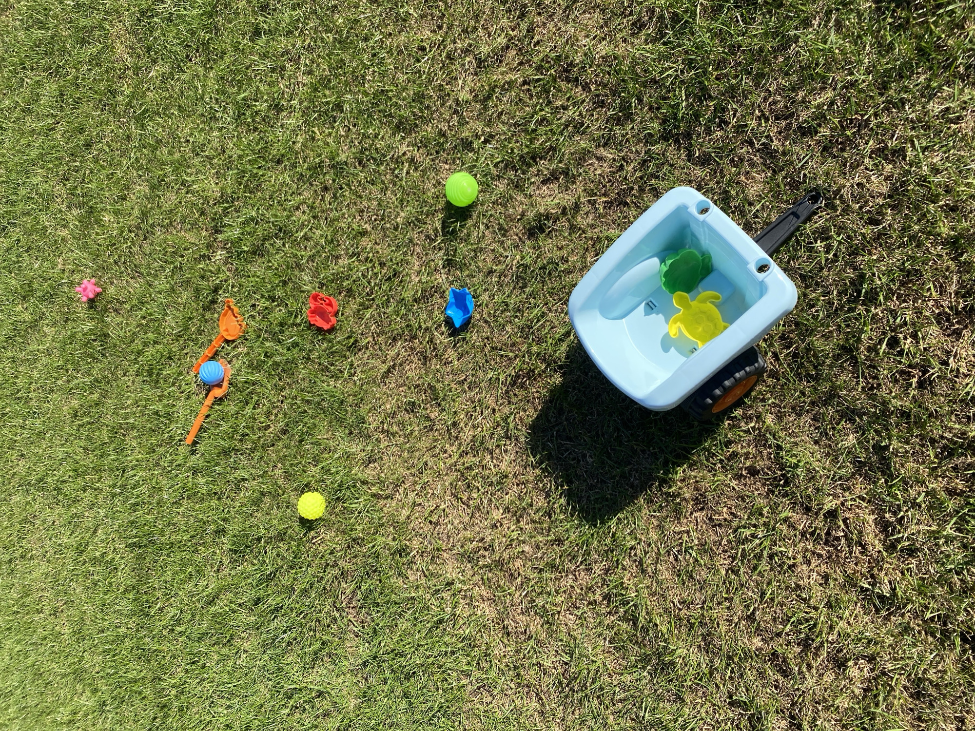 The scene is a grassy area in daylight. Scattered on the grass are a variety of children's toys. These include a pink flower-shaped toy, an orange toy shovel with a blue ball, a red object, a blue object, a yellow ball, and a green ball. A light blue plastic wagon with a black handle contains a green turtle toy and a yellow turtle toy. There is no evidence to suggest that the location is in Гаревая, Russia.