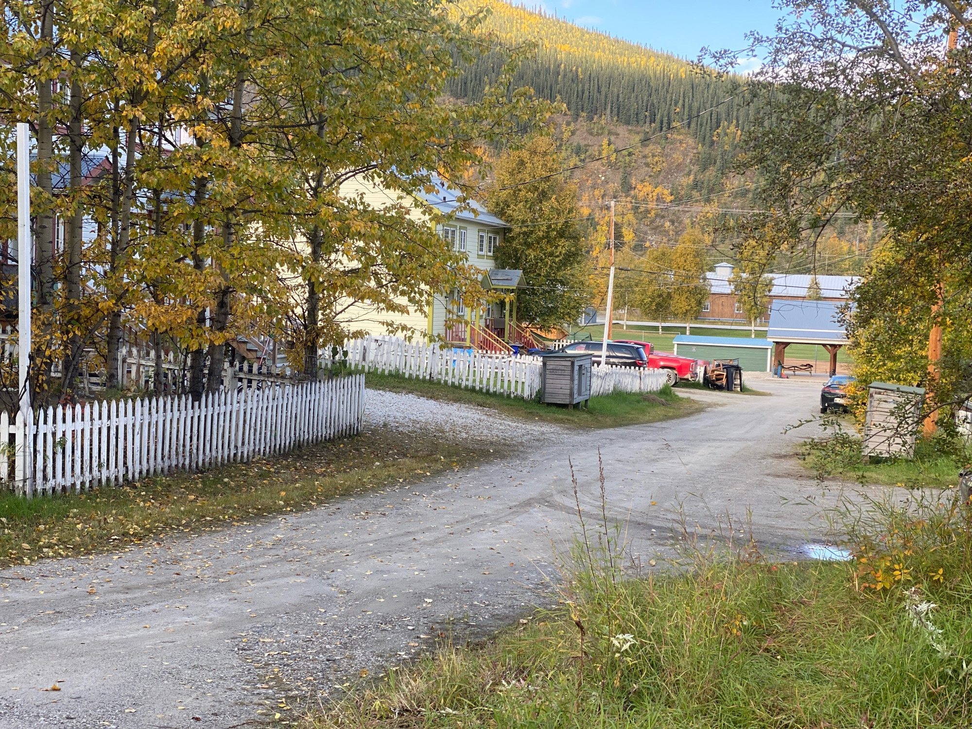The image depicts a gravel road curving through a rural or semi-rural environment. To the left, a white picket fence runs along the road, bordering a yard with trees displaying autumn foliage. Beyond the fence, a light-colored building with red trim is visible, along with more trees. The road itself is marked with tire tracks and scattered fallen leaves. In the background, a hillside covered with dense coniferous forest is visible, with patches of yellow foliage. Several structures, including what appear to be sheds and a barn-like building with a blue roof, are situated to the right of the road, along with parked vehicles, including a red pickup truck and a dark-colored car. The sky is clear and blue. The overall impression is of a serene autumn scene in a somewhat isolated location. The presence of the white picket fence, the building styles, and the type of vegetation are consistent with the historical architecture and natural environment found in Dawson City, Canada, particularly in areas outside the immediate downtown core.