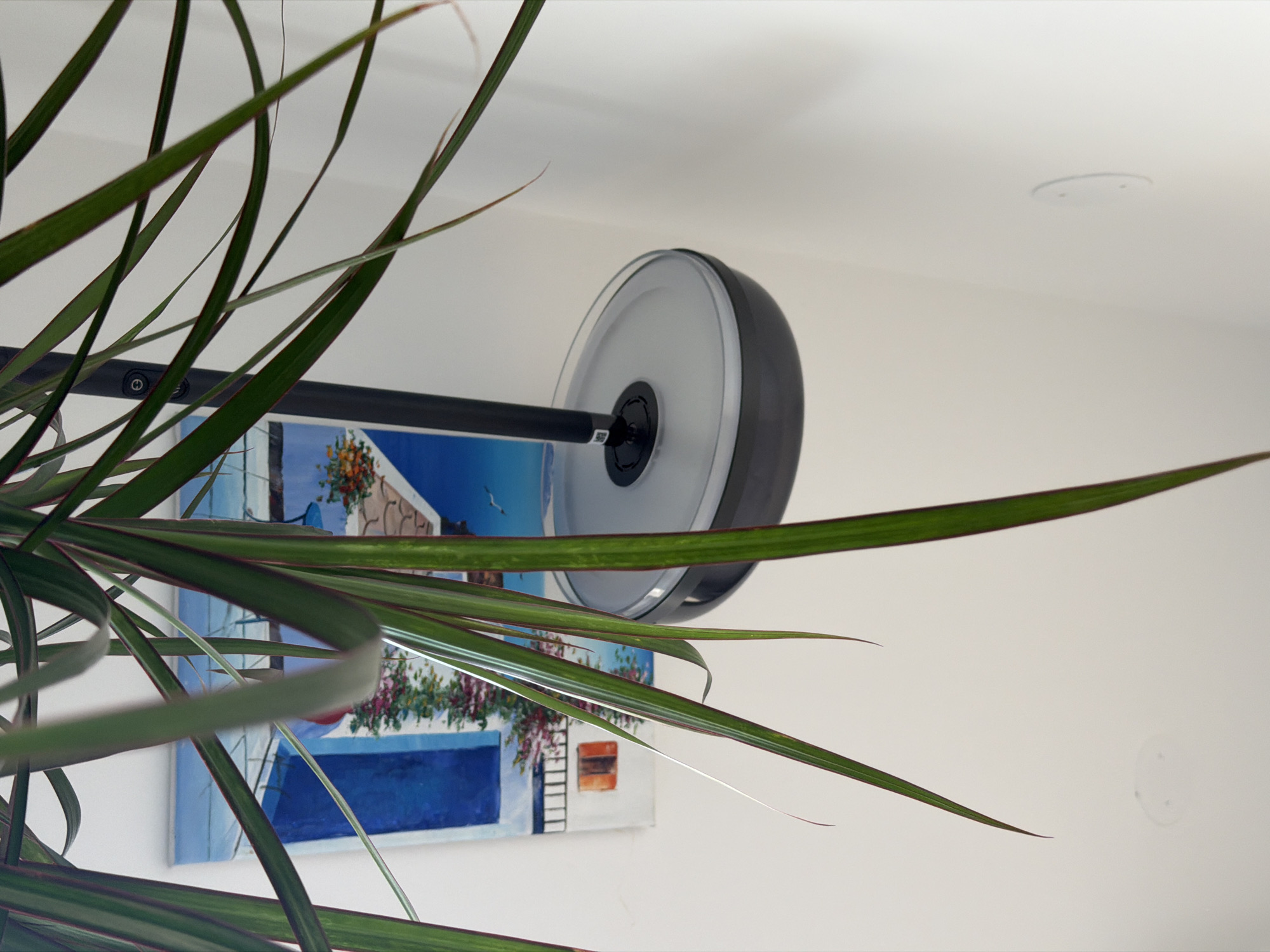 A low-angle indoor shot focuses on a plant with long, slender green leaves occupying the left and lower-center foreground. Behind the plant, attached to a white wall, is a framed painting depicting a white building with blue accents, possibly a depiction of a Mediterranean scene, complete with flowers and a hint of a seascape. A cylindrical object, likely a ceiling light fixture with a white center and dark rim, is mounted on the wall above the painting. The overall setting appears to be a domestic interior. There is no information in this image to identify the location as Ramat Gan, Israel.