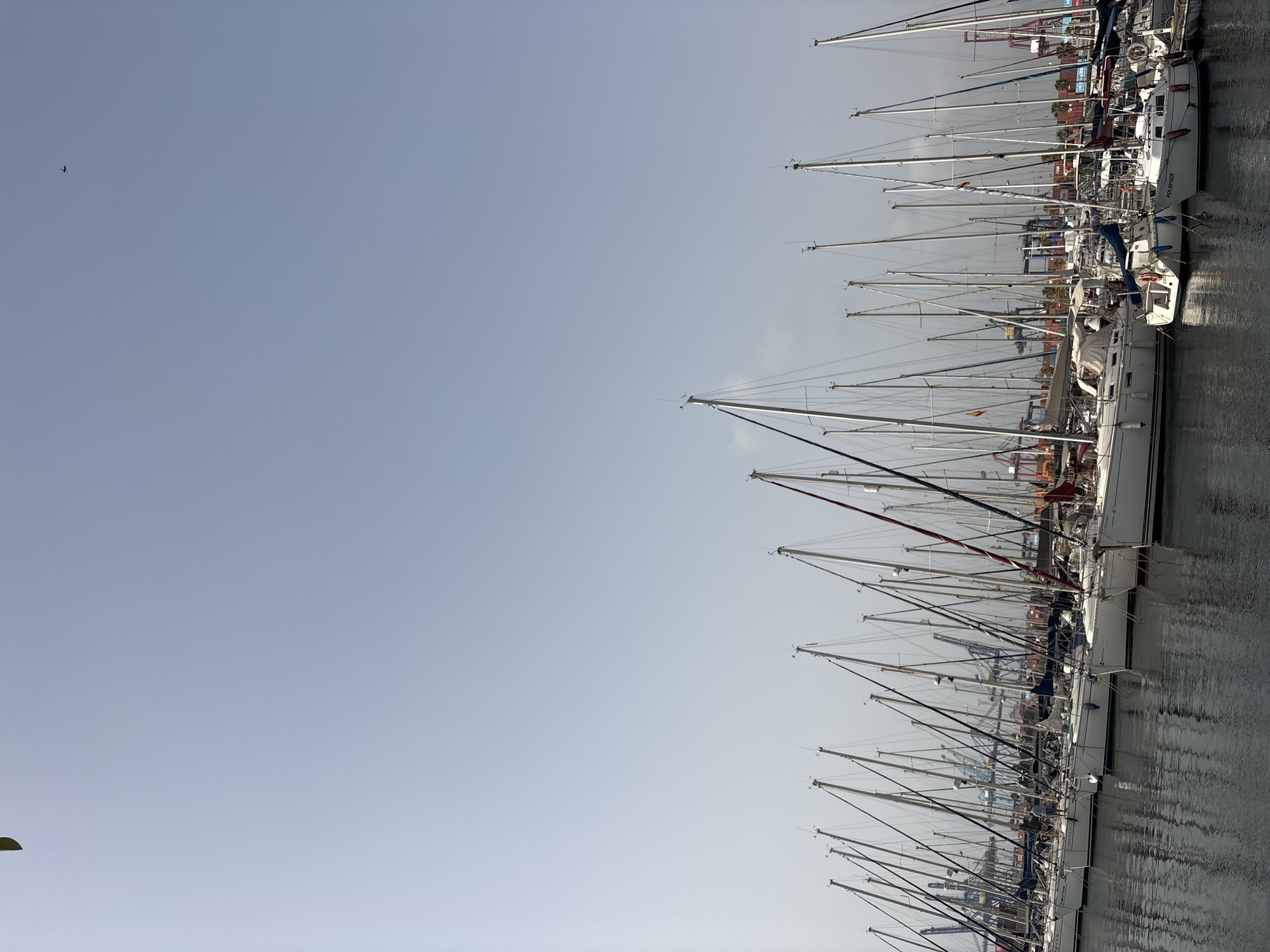 The image captures a view of a marina in the city of Valencia, Spain, likely near the port area. A dense collection of sailboats, all with their masts raised, are docked in the calm water, their reflections visible on the surface. In the background, industrial cranes and shipping containers suggest proximity to a commercial port. The sky is a hazy, light blue. A small dark object, possibly an airplane, is visible in the upper right portion of the sky. The scene is static, with no apparent activity apart from the docked boats.