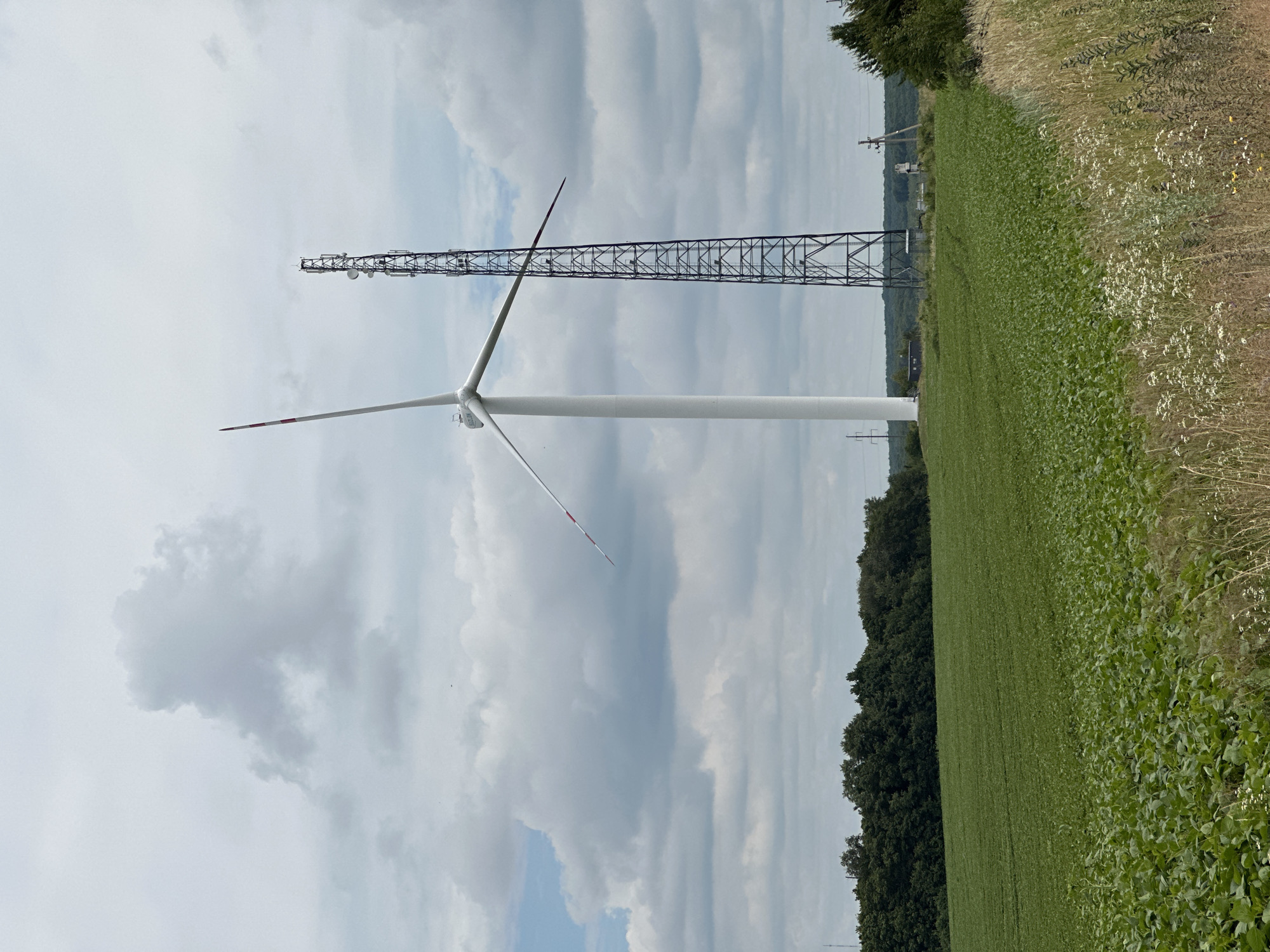 This media file depicts an outdoor scene featuring a wind turbine and a communication tower in a rural setting. The wind turbine is a prominent white structure with long blades, one of which is angled upwards towards a cloudy sky. Beside it, a tall, lattice communication tower rises, its metallic structure clearly visible against the sky.
The scene is set within agricultural fields. To the right, a field of green crops, likely soybeans given the location context, stretches into the distance. The crops are lush and densely packed, indicating a growing season. Beyond the green field, there's a line of tall trees that form a dark green border. To the left of the fields, a patch of dry, tall grass with small white flowers is visible, suggesting a transition in the landscape.
In the background, there are hints of human infrastructure, including what appear to be power lines and poles, suggesting the area is connected to the electrical grid and possibly other utilities. The sky is overcast with large, soft clouds, suggesting a temperate, possibly humid, weather condition. The time of day is not explicitly clear but the lighting suggests it is daytime.
The overall mood is one of agricultural productivity and technological presence within a natural environment. There is no visible text in the image.