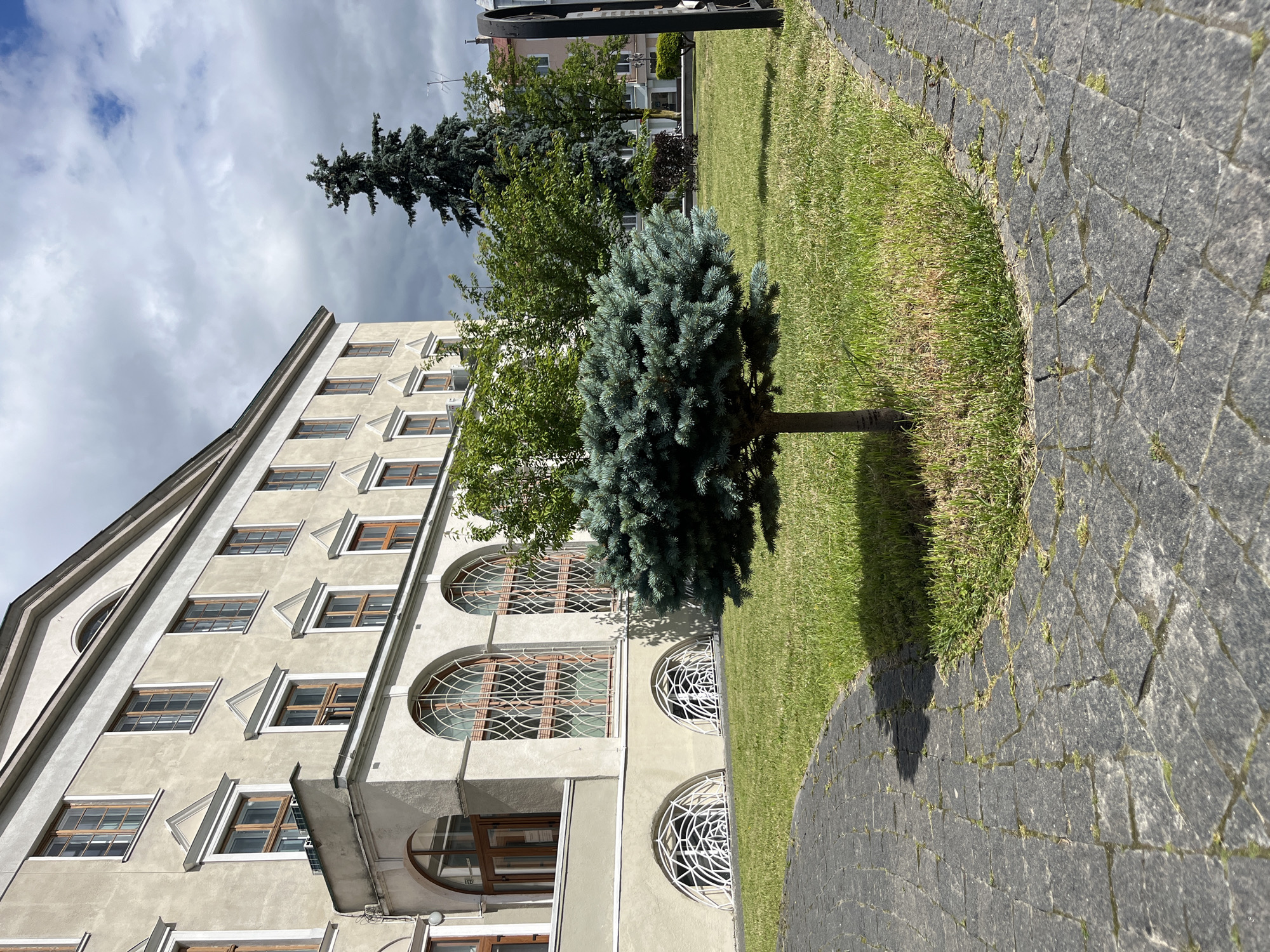 This image depicts a building in Drohobych, Ukraine, likely a historical institution or administrative building. The structure features a pale beige facade with multiple floors, characterized by symmetrical window placements with wooden frames and decorative pediments. The ground floor has large arched windows with intricate metal grilles and smaller arched windows nearer the ground, also with decorative metalwork. A small, rounded blue spruce tree is prominently positioned on a well-maintained grassy lawn in front of the building. Paved pathways made of dark cobblestones curve around the lawn. In the background, mature trees, including a tall evergreen, are visible, along with glimpses of other buildings and the sky, which is partly cloudy with patches of blue. The overall impression is one of a well-kept public space adjacent to a significant architectural landmark.