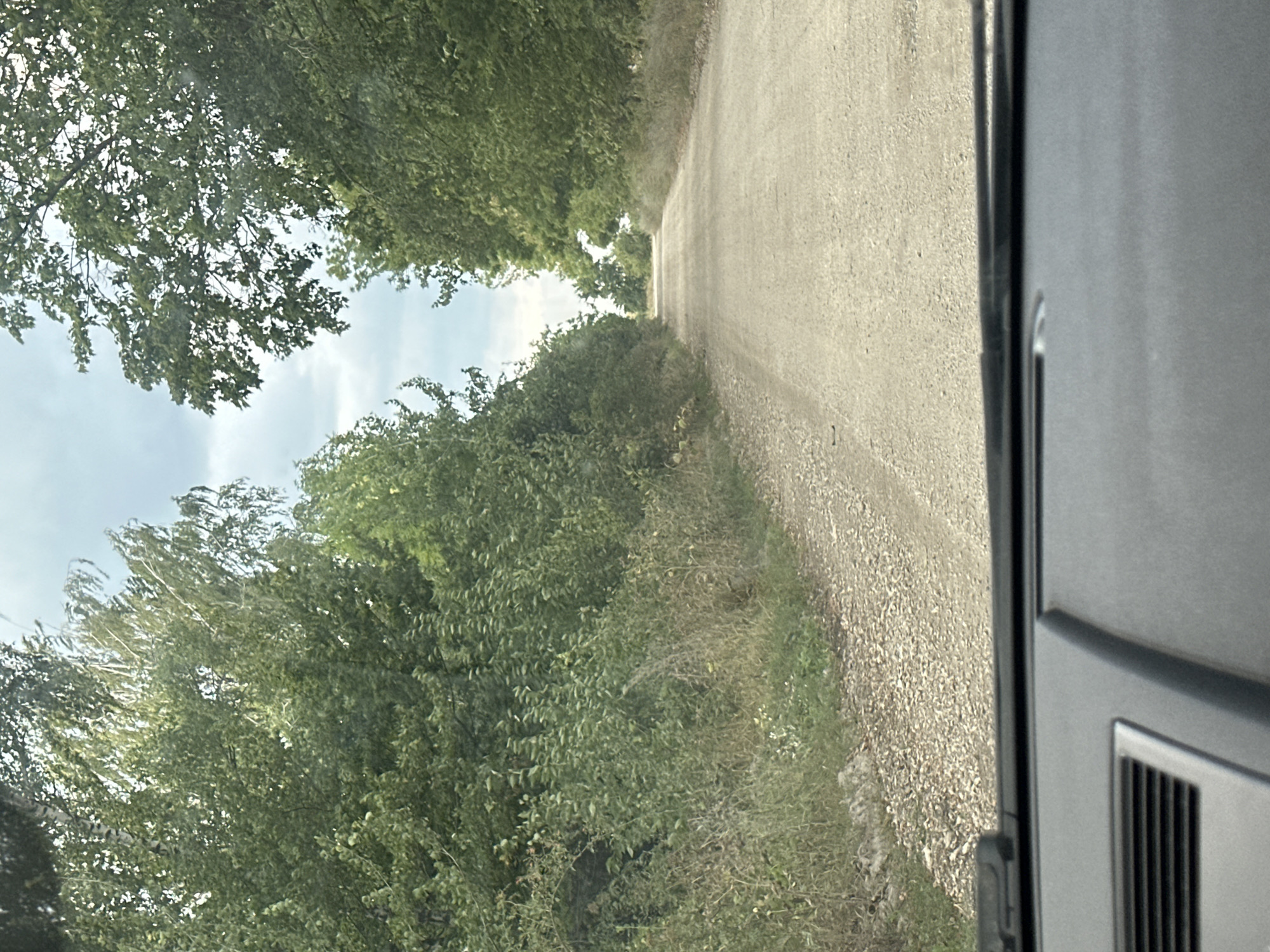 The image shows a view from inside a vehicle looking forward at a dirt road lined with trees on either side. The road appears to be unpaved and is light brown in color. On the left side of the road, there is dense green foliage with some dry brush. On the right side, the trees are also dense and green. The sky is overcast with some visible clouds. The foreground shows the dashboard of the vehicle, with a vent on the left side and a windshield wiper visible at the top edge. The scene suggests a rural or undeveloped area, possibly in the outskirts of Tynna, Ukraine, given the natural landscape. There are no people or animals visible in the image, and no specific actions or interactions are depicted.