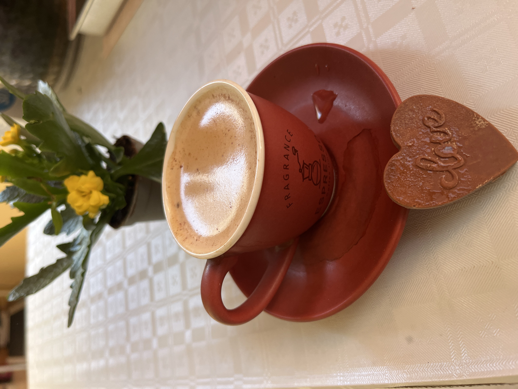 On a patterned, light-colored surface, likely a tablecloth, rests a red espresso cup and saucer alongside a heart-shaped piece of chocolate with the word "Love" imprinted on it. The cup, filled with espresso, has the words "FRAGRANCE ESPRESSO" printed on its side. To the left of the cup is a small potted plant with yellow flowers. The image appears to be taken in Alanya, Turkey, evidenced by the cup branding as "Fragrance Espresso," a known coffee shop in Alanya.