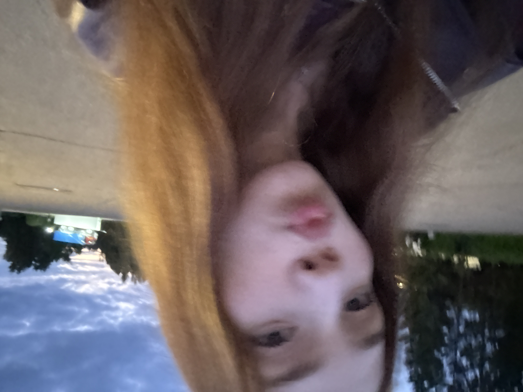 A young female subject is depicted in a close-up selfie captured during twilight in Naberezhnye Chelny, Russia. She possesses long, reddish-brown hair and is looking directly at the camera with her lips pursed in a deliberate pose. A dark jacket, likely leather, with a visible zipper detail, is worn by the subject. The outdoor background on the left features dense, dark tree foliage and a paved surface. On the right, the sky is overcast with dark blue and grey clouds, exhibiting subtle hints of a sunset glow near the horizon. A distinct, illuminated sign in the distant right background displays a large, stylized truck with red and blue components, indicative of a roadside service station or logistics facility. The scene is characterized by low light conditions consistent with evening.