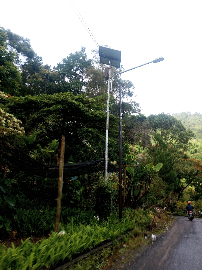A rural road winds past lush vegetation. Ferns and other green plants line the roadside. A solar-powered street light stands amidst the dense foliage. In the distance, a person rides a motorcycle on the road, heading away from the viewer. The sky is overcast, creating soft, diffused light across the scene. Hills rise in the background, covered in trees.