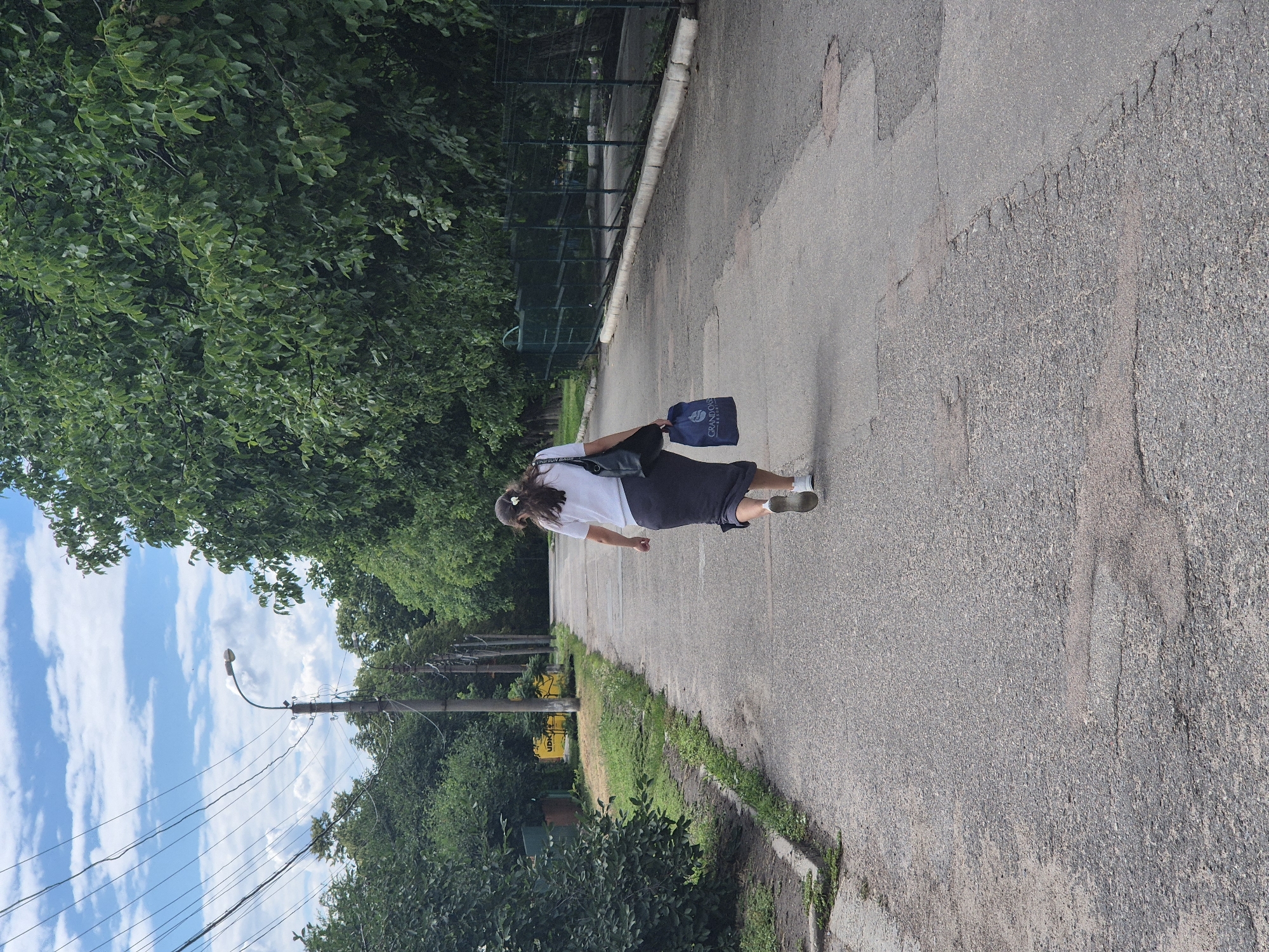 A lone woman walks away from the camera on a paved road that appears to be in a semi-rural or suburban area. She is wearing a white t-shirt, a dark grey skirt, and white sneakers. She carries a dark tote bag over her left shoulder and a blue shopping bag in her right hand. The road is bordered by trees and grass. In the background, there are utility poles with wires and a green fence. The sky is partly cloudy. The road surface shows signs of wear and repair. A yellow sign with the Cyrillic letters "UDK" is visible on the left side of the road, indicating the location is in or near Sozonivka, Ukraine.
