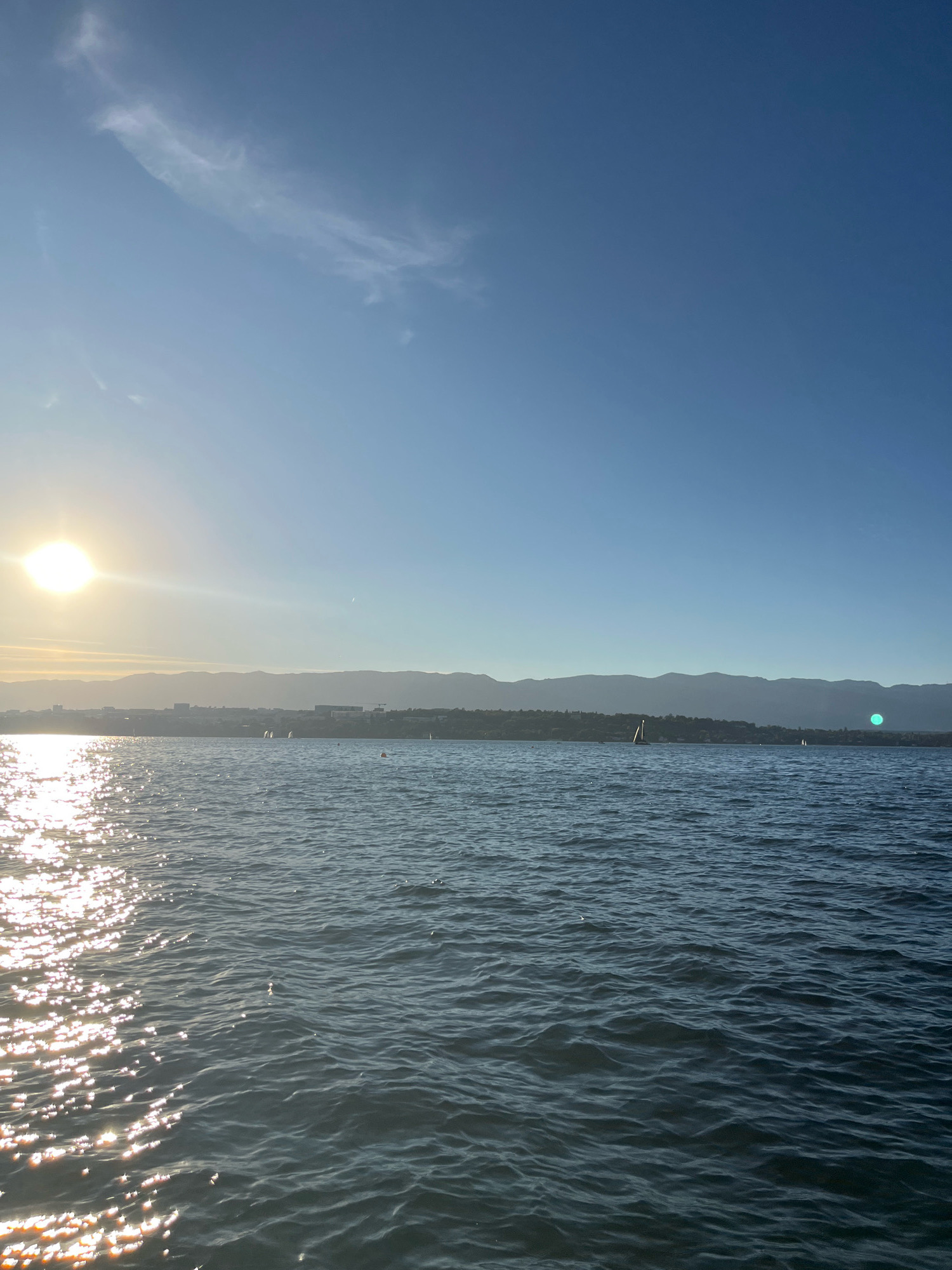 An outdoor, horizontal, eye-level shot captures a wide body of water on a sunny day. The sun is setting on the left side of the frame, casting a bright glare on the choppy water. In the distance, a shoreline with buildings and mountains can be seen. Several sailboats are present on the water, some closer to the shore, others farther out. The sky is clear and blue, with a few wispy clouds. The image appears to have been taken from a boat. The scene is likely Lake Geneva, near Cologny, Switzerland.