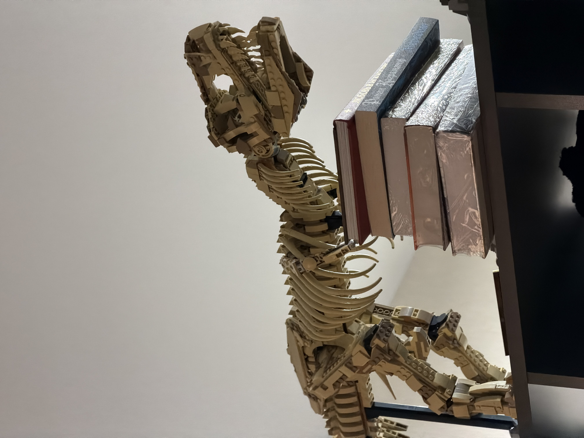 The image shows a Lego model of a Tyrannosaurus Rex skeleton positioned on a shelf above several books. The skeleton is made of tan and brown Lego bricks and is intricately detailed. It appears to be in a dynamic pose, with its head raised and mouth open. The books are stacked on top of each other, with some of them wrapped in plastic. The background is a plain, light-colored wall. The scene is likely indoors, possibly in a home or museum setting, but there are no visible landmarks that would suggest a specific location in Moscow, Russia. The image is a still shot, with no people or actions taking place.