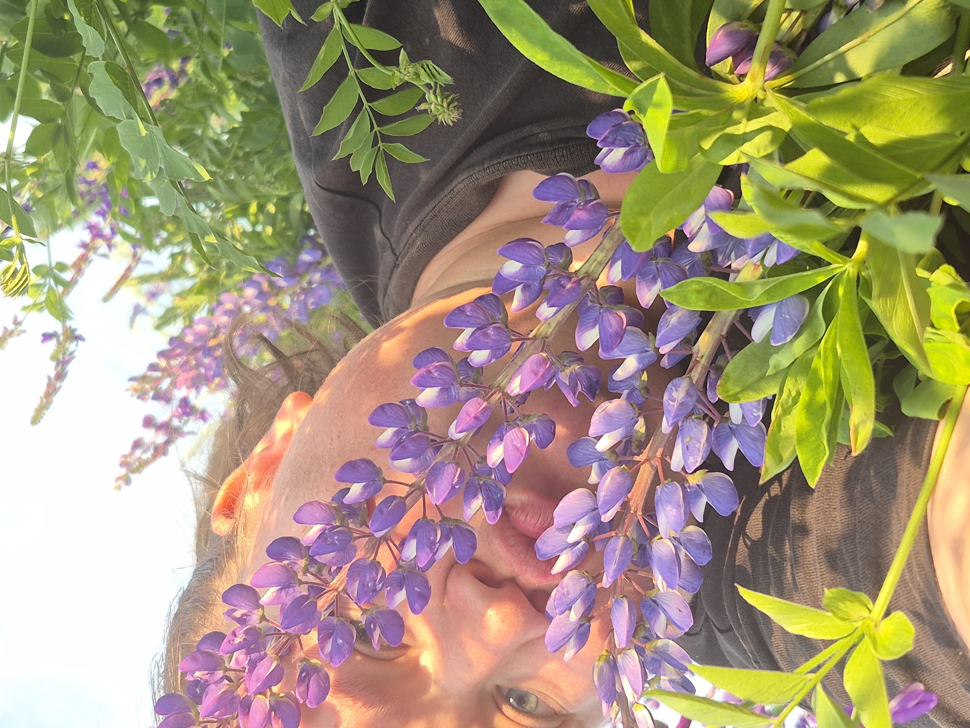 The image shows a close-up, low-angle shot of a person's face partially obscured by purple lupine flowers. The person's right eye is visible, along with their nose and mouth. They are wearing a dark-colored top. Lush green foliage and more lupine flowers are present in the background. The scene appears to be outdoors during daylight, with the sun casting shadows and highlighting the textures of the skin and petals. The location is identified as Doyna, Russia.