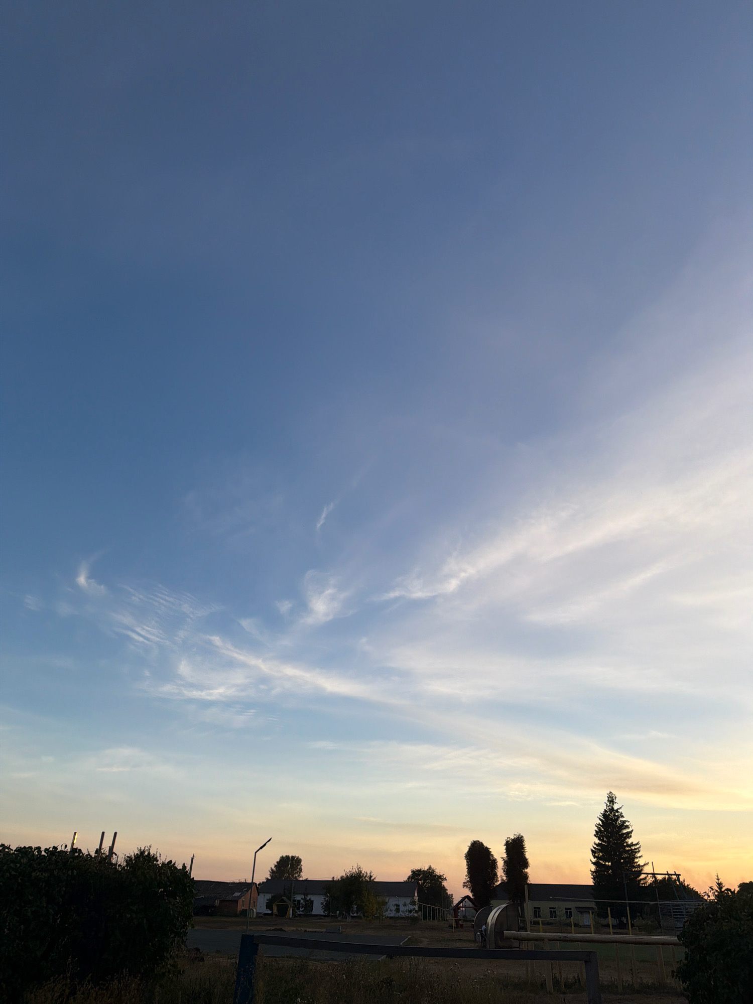 The image depicts a pastoral scene with a vast, clear sky dominated by shades of blue, transitioning to lighter hues and wispy white clouds near the horizon. The lower portion of the image reveals a rural settlement, identified as Myloradove, Ukraine. Silhouetted against the sky are several trees, including a tall, dark coniferous tree on the right, and various buildings with pitched roofs. A streetlamp with a curved arm stands prominently near the center. In the foreground, dense, dark green foliage and tall grass obscure a portion of the landscape, with a dark metal fence or railing visible across the bottom. The overall impression is one of a tranquil evening in a rural Ukrainian village.