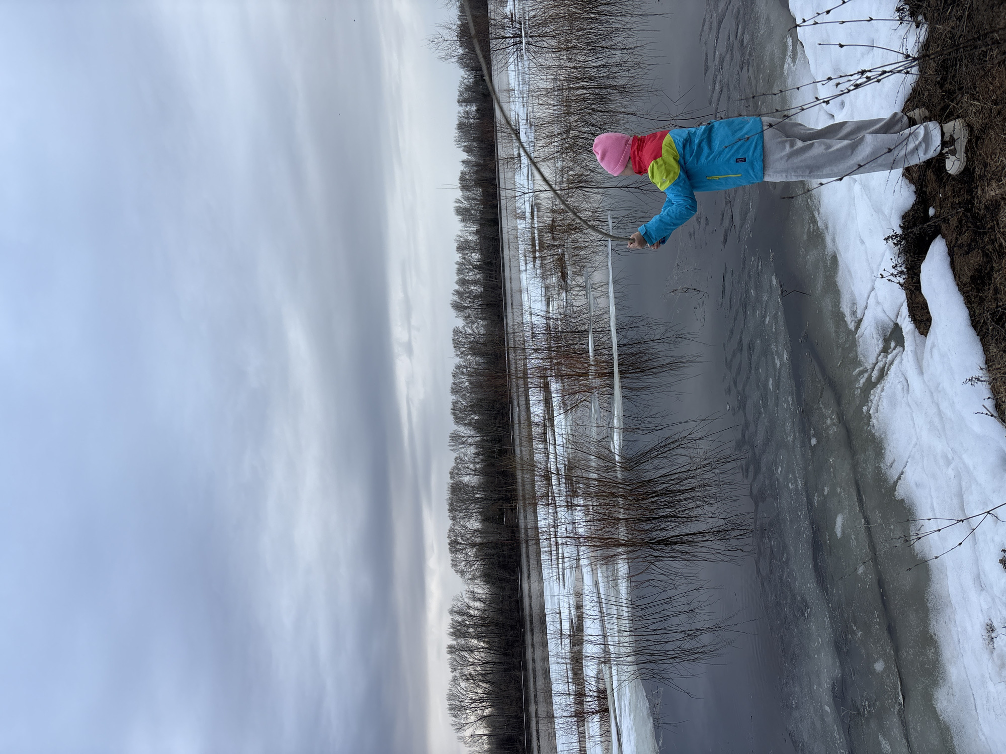 The image shows a person standing on a snow-covered bank next to a body of water, possibly a river or lake, partially covered with ice floes. The person is wearing light gray pants, a blue jacket with neon yellow and pink accents, and a pink knit hat. They are holding a long stick or branch in their hand, extending it towards the water.
The background consists of a line of bare trees on the opposite bank, reflected in the water. The sky is overcast with grey clouds.
The location is indicated as Chaikovsky, Russia.