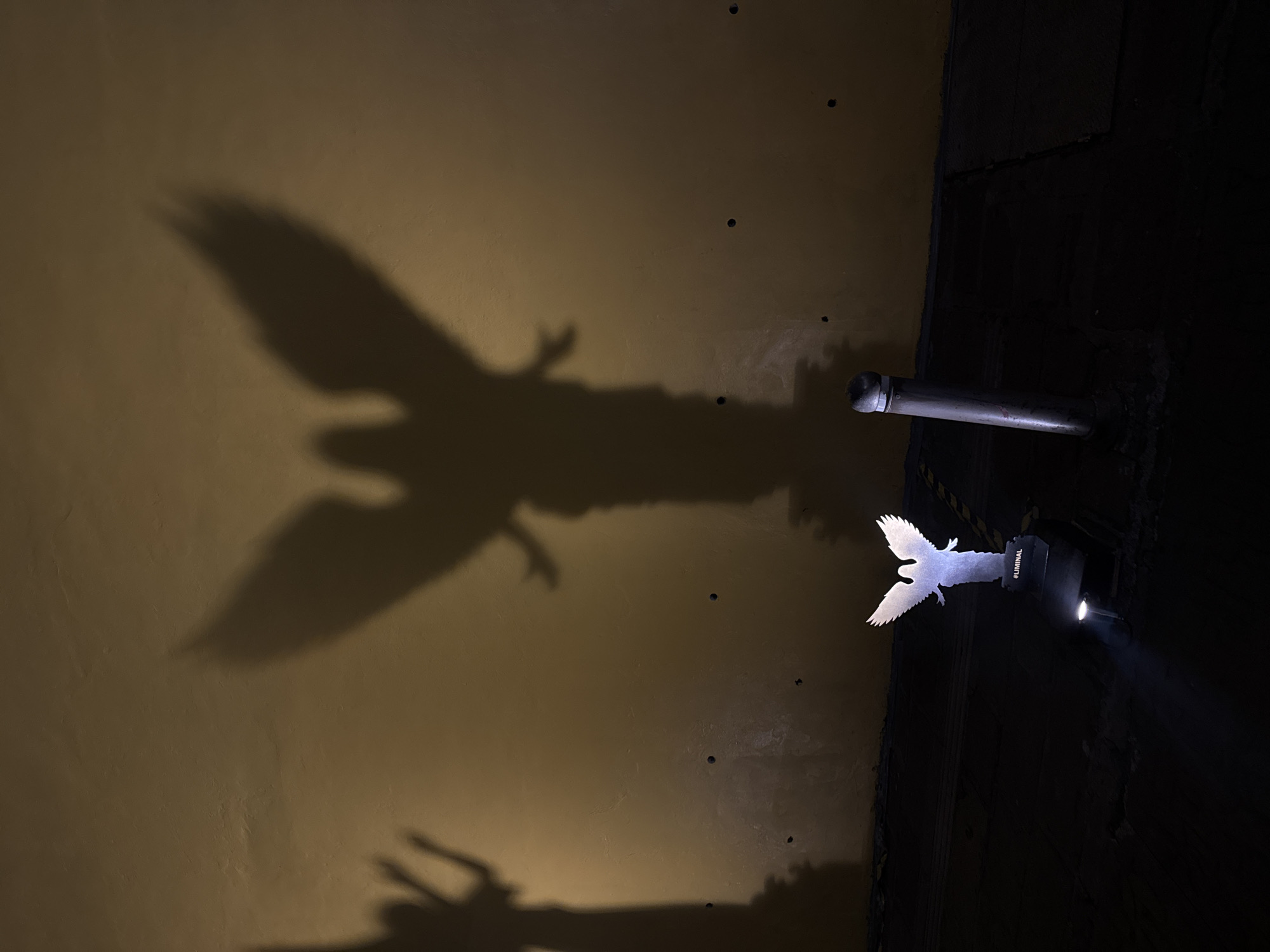 A low-angle, rotated image depicts a small, stylized, metal cut-out of a bird with outstretched wings illuminated by a light projector, casting a large shadow onto a yellow wall. The setup appears to be within an urban interior space. The wall has several small, dark holes. A metal pipe is fixed to the wall, and dark, textured wall surfaces are adjacent to the yellow wall. The word "#LIMINAL" is visible on the side of the projector. The location is Puebla, Mexico.