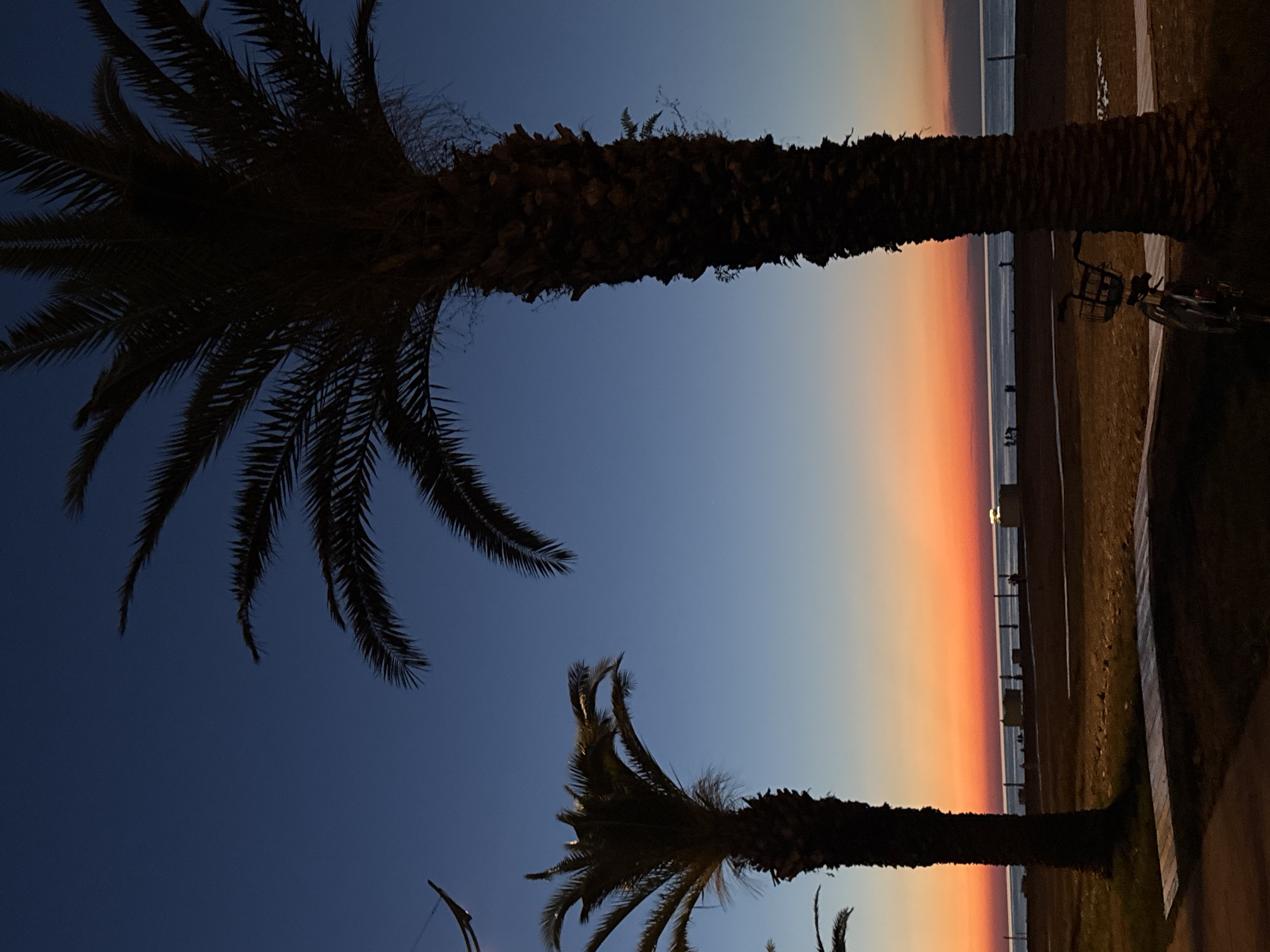 This image depicts a twilight scene on a beach in Batumi, Georgia. Two palm trees are silhouetted against a gradient sky of deep blue transitioning to orange and pink hues near the horizon. The foreground shows a sandy area with some wooden pathways and scattered dry vegetation. A bicycle with a basket is parked near the larger palm tree on the right. In the background, the sea is visible, and faint outlines of structures and a few people can be seen along the shoreline. The lighting suggests the sun has recently set.
