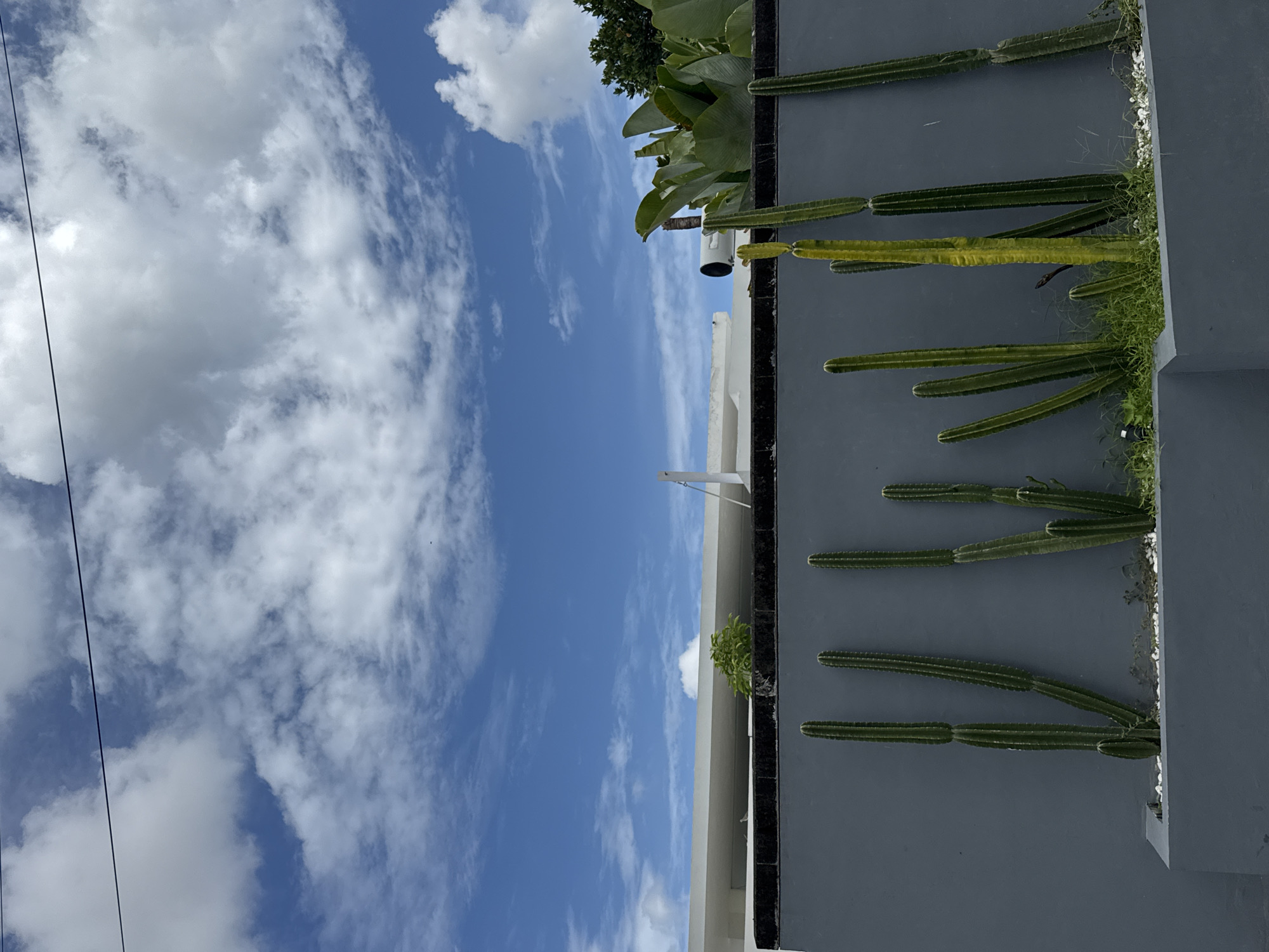 The image depicts a building in North Kuta, Indonesia, under a partly cloudy sky. The building is gray with cactus plants growing along the top of the wall. Some of the cacti are green, while one appears yellow. Tropical plants are visible above the cacti. A white structure with a surveillance camera is mounted on the building. Power lines can be seen across the sky.
