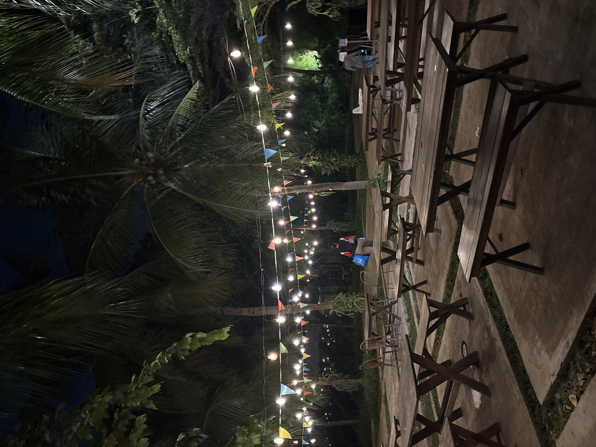 The image depicts an outdoor seating area at night, likely a cafe or restaurant, in North Jakarta, Indonesia. String lights and colorful triangular flags are hung between palm trees, creating a festive and inviting atmosphere. Several wooden picnic tables with benches are arranged on a concrete patio. In the background, dense foliage and more palm trees suggest a tropical or semi-tropical environment.
Two individuals are visible. One person, wearing a striped shirt and jeans, is seated at a table in the distance, partially obscured by the greenery. Another person is lying down on a picnic table in the background, also partially obscured. The overall mood is relaxed and serene, enhanced by the soft glow of the string lights against the dark night sky. The time of day is clearly nighttime. No visible text is present in the image.