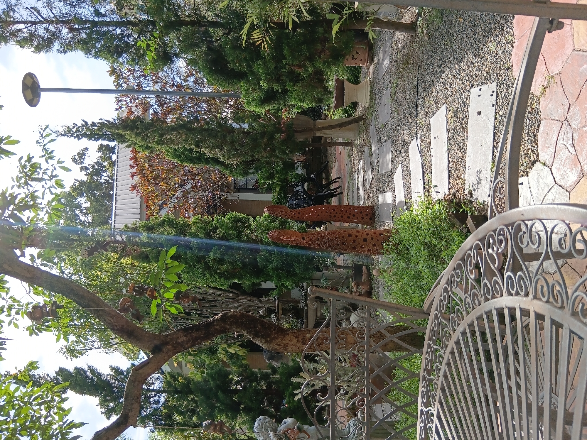 The image shows an outdoor seating area in a garden setting, likely in Ban Tong, Thailand. In the foreground, a portion of a metal patio table with ornate scrollwork is visible. Behind the table, a grey metal chair with a similar decorative design is partially obscured by a tree trunk. The ground is a mix of gravel and irregularly shaped paving stones.
The garden itself is lush and green, with a variety of plants and trees, including several tall, conical evergreen trees and a leafy deciduous tree with brown and green foliage. Several decorative elements are scattered throughout the garden. Two tall, narrow, reddish-brown sculptures with circular cutouts stand prominently in the middle ground. A statue of an angel or cherub holding a basket is visible on the left side, near the chair. A lamppost with a circular fixture is visible in the background.
The scene is bathed in sunlight, with some areas in shadow. The overall impression is one of a tranquil, well-maintained garden space. There are no people visible in the image. The architecture of a building with a corrugated metal roof is visible in the background.