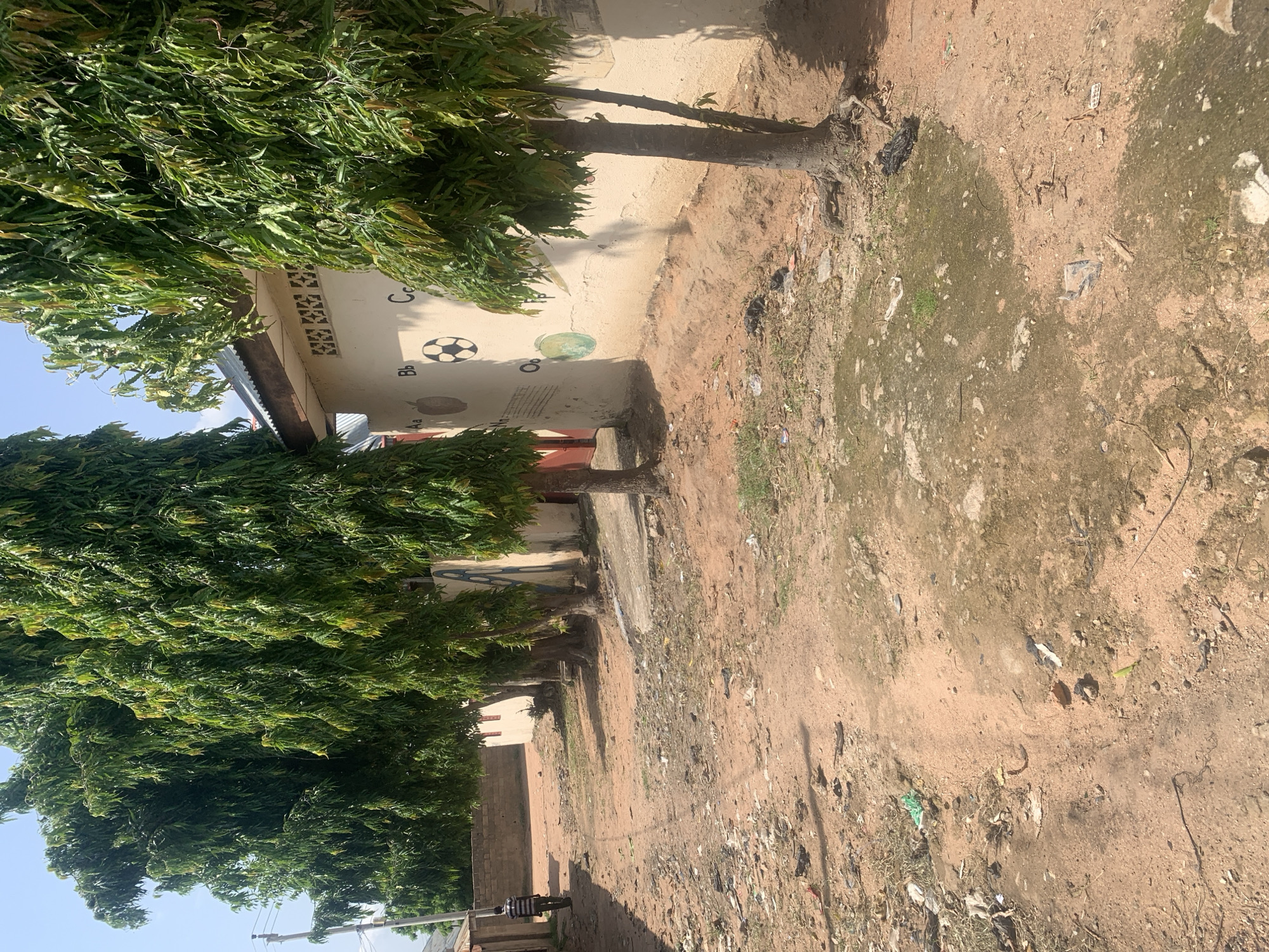 The image depicts an outdoor scene in Jalingo, Nigeria. A row of lush green trees lines the left side of the frame, their branches and leaves creating a dense canopy. Behind the trees, a light-colored building with a dark-tiled roof is visible. The wall of the building is decorated with various painted elements, including a soccer ball, letters of the alphabet, and other colorful shapes. A small section of a window or ventilation opening is also present on the wall.
In front of the building and extending towards the right side of the image is a dirt path. The ground is a mix of dry, sandy soil with patches of sparse vegetation and scattered debris, suggesting it might be an unpaved area or a yard. Sunlight casts shadows from the trees and a thin pole onto the ground, indicating it is daytime, likely late morning or afternoon. The sky is a clear, bright blue, suggesting fair weather.
There is a single person visible in the lower left portion of the image, walking away from the camera. They are wearing a horizontally striped shirt and dark bottoms. The overall atmosphere appears to be one of everyday life in a somewhat rural or semi-urban environment, possibly a school or residential area, given the alphabet paintings on the building. The scene is static, with no specific event taking place. The image is oriented vertically.
