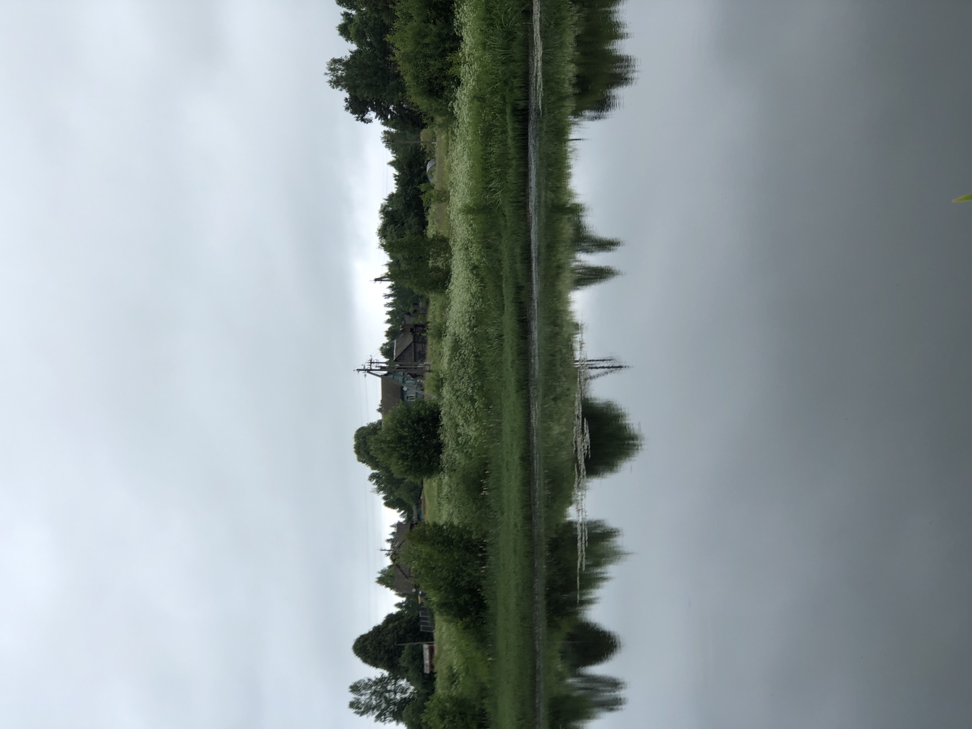 The image shows a tranquil, overcast day in a rural area, possibly near Zhukovo, Russia. A calm body of water occupies the foreground, its surface reflecting the muted tones of the sky and the lush green landscape on the opposite bank. The shore is lined with dense vegetation, including tall grasses and flowering plants, giving way to a cluster of trees and a few rustic wooden houses in the middle ground. Several utility poles with wires are visible amongst the buildings and trees. The reflection on the water is a mirror image of the scene above, creating a sense of symmetry and peacefulness. No people are present in the image.