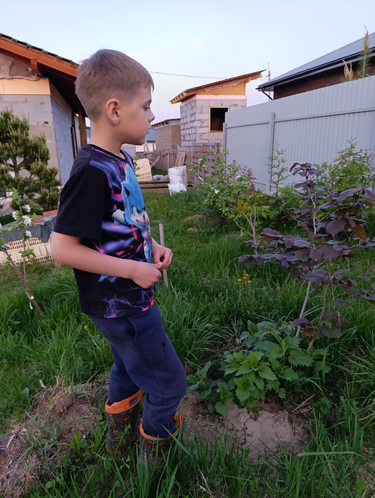 A young boy with short, light brown hair stands in a grassy yard in Chaikovsky, Russia, looking to the left. He is wearing a black t-shirt with a Sonic the Hedgehog graphic, navy blue pants, and patterned orange-trimmed boots. The yard is filled with tall grass and various plants, including a small tree with purple leaves. In the background, there are partially constructed buildings, a white fence, and other houses. The sky is light blue and appears to be dusk.