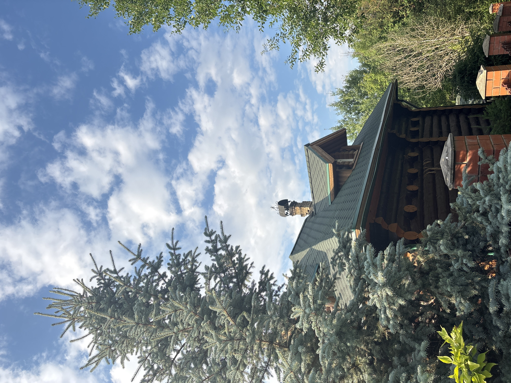 A log cabin with a green roof and a brick chimney is partially obscured by the branches of a large blue spruce tree in the foreground. The cabin has a dormer window on the roof. The sky is blue with scattered white clouds. Lush green trees surround the cabin. The scene appears to be set in a rural or suburban area.
