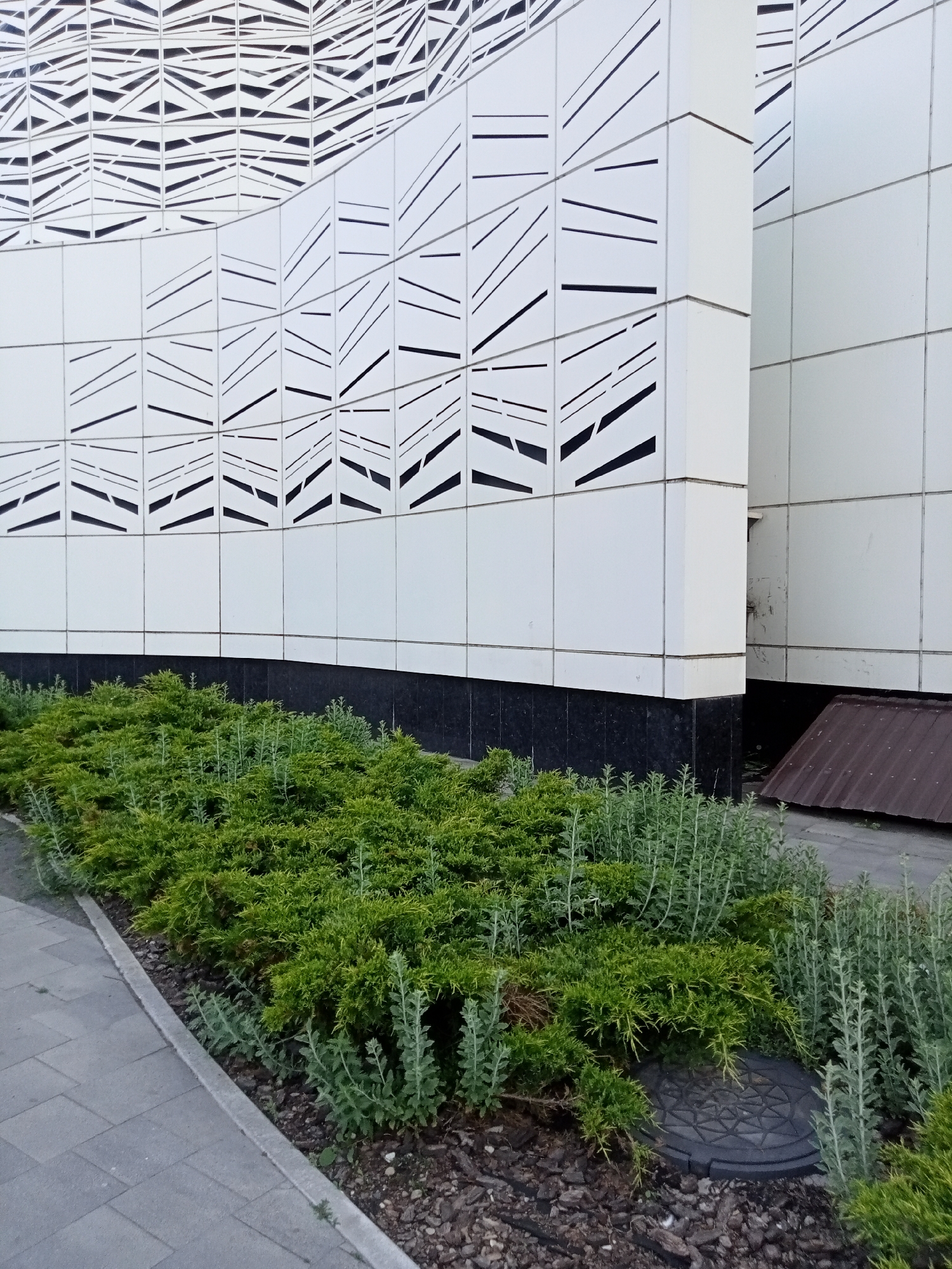 An exterior, eye-level shot captures a section of a modern building with a curved facade adorned with geometric patterns. The building's exterior is primarily white, with black linear designs integrated into the upper portion of the facade. A dark, textured band runs along the base of the building above a row of green bushes and ground cover. To the right of the bushes, a dark circular manhole cover is visible, partially obscured by the foliage. A paved walkway borders the garden bed on the left. The background to the right reveals a section of the building's lower level, where a rusted, corrugated metal structure is visible. The scene is static and appears to be an outdoor urban environment, possibly a public space or commercial area.