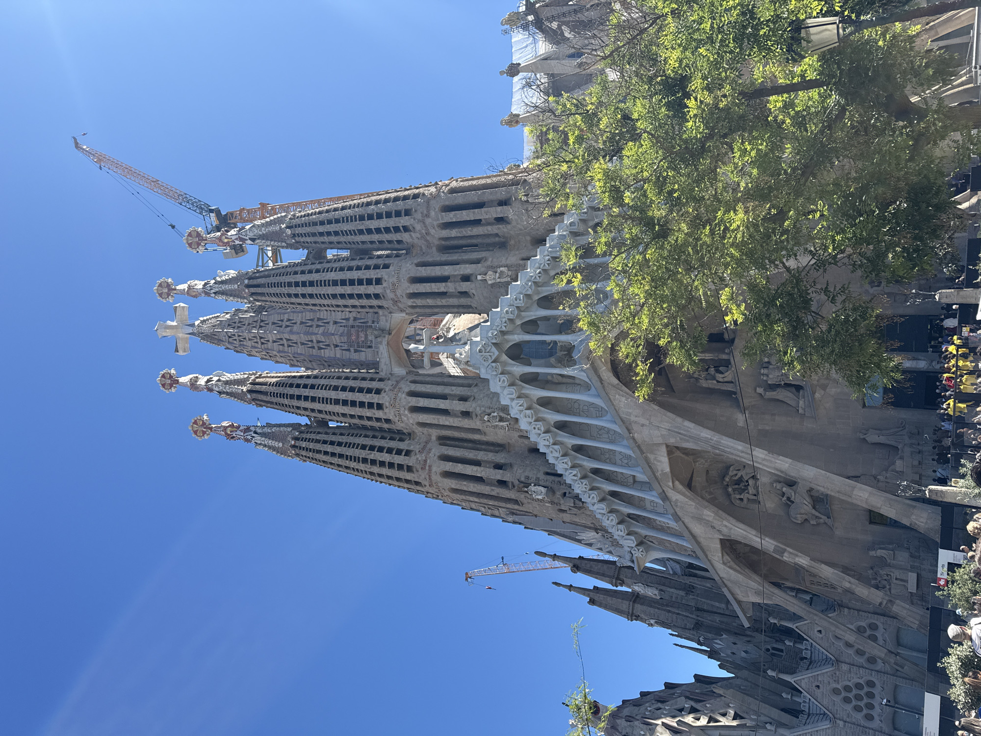 The image shows an upward view of the Sagrada Familia basilica in Barcelona, Spain, under a clear blue sky. The basilica's spires and intricate facade dominate the scene, with visible construction cranes still present at the top of the structure. A tree with green foliage is visible on the right, partially obscuring the basilica. A crowd of people and a sign are visible on the right, at the bottom of the image. The basilica’s stone exterior is detailed with carvings and architectural elements.