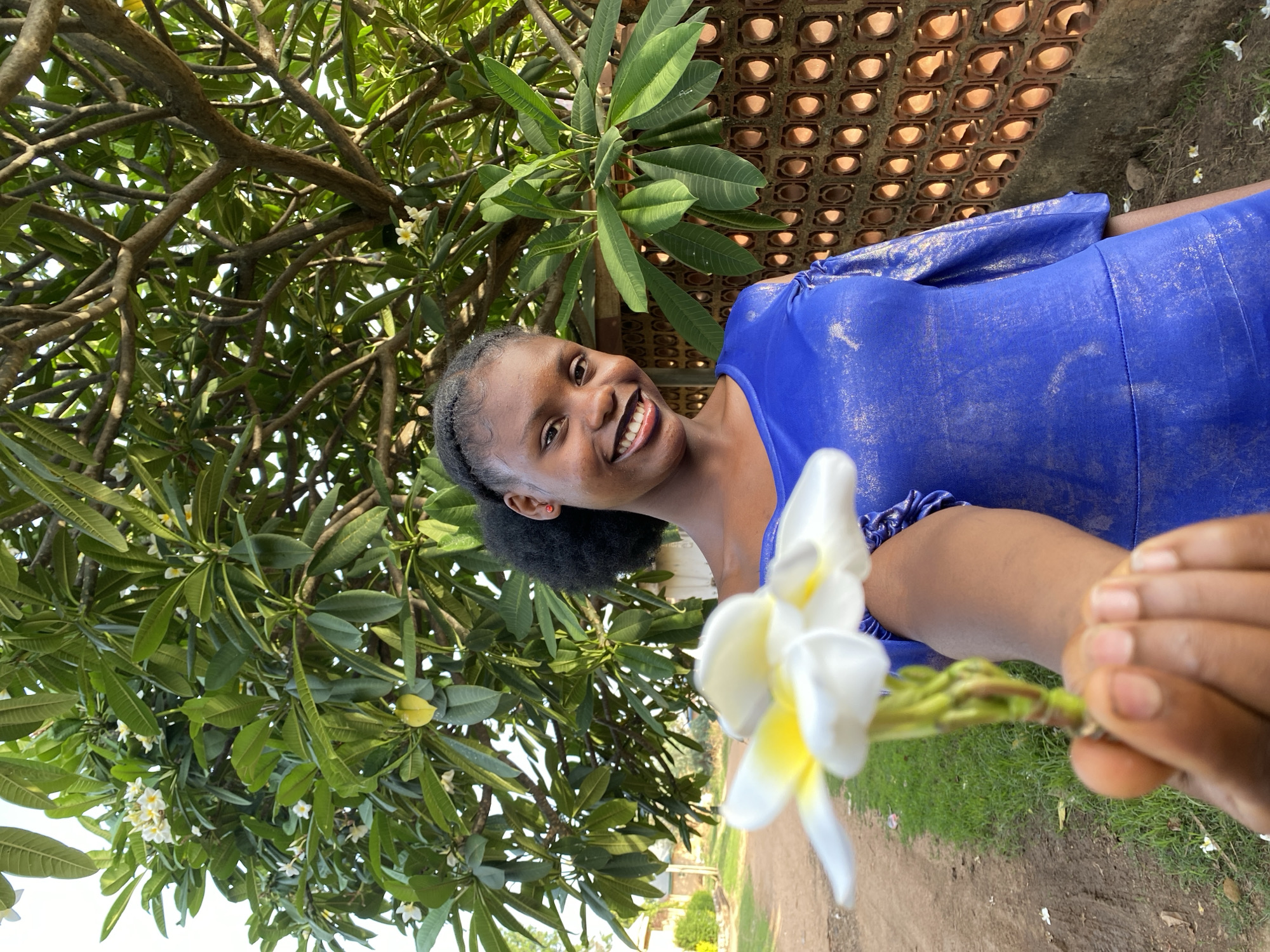 The image displays a young woman smiling brightly outdoors in Vom, Nigeria, on a clear, sunny day. She is positioned towards the center-right of the frame, wearing a shimmery blue dress. Her dark hair is pulled back, and she wears a subtle earring in her visible ear. She extends her right hand towards the camera, holding a white plumeria (frangipani) flower with a yellow center, which is slightly out of focus in the foreground.
Behind her, a dense canopy of green foliage from a tree with thick branches fills the left side and top of the background, suggesting a lush, tropical environment. To her right, a distinctive reddish-brown wall featuring a pattern of circular perforations provides a backdrop. Below this wall and extending towards the lower right, a dirt path with patches of green grass is visible. The woman's joyful expression and the natural, bright lighting contribute to a cheerful and serene atmosphere. There is no visible text in the image.