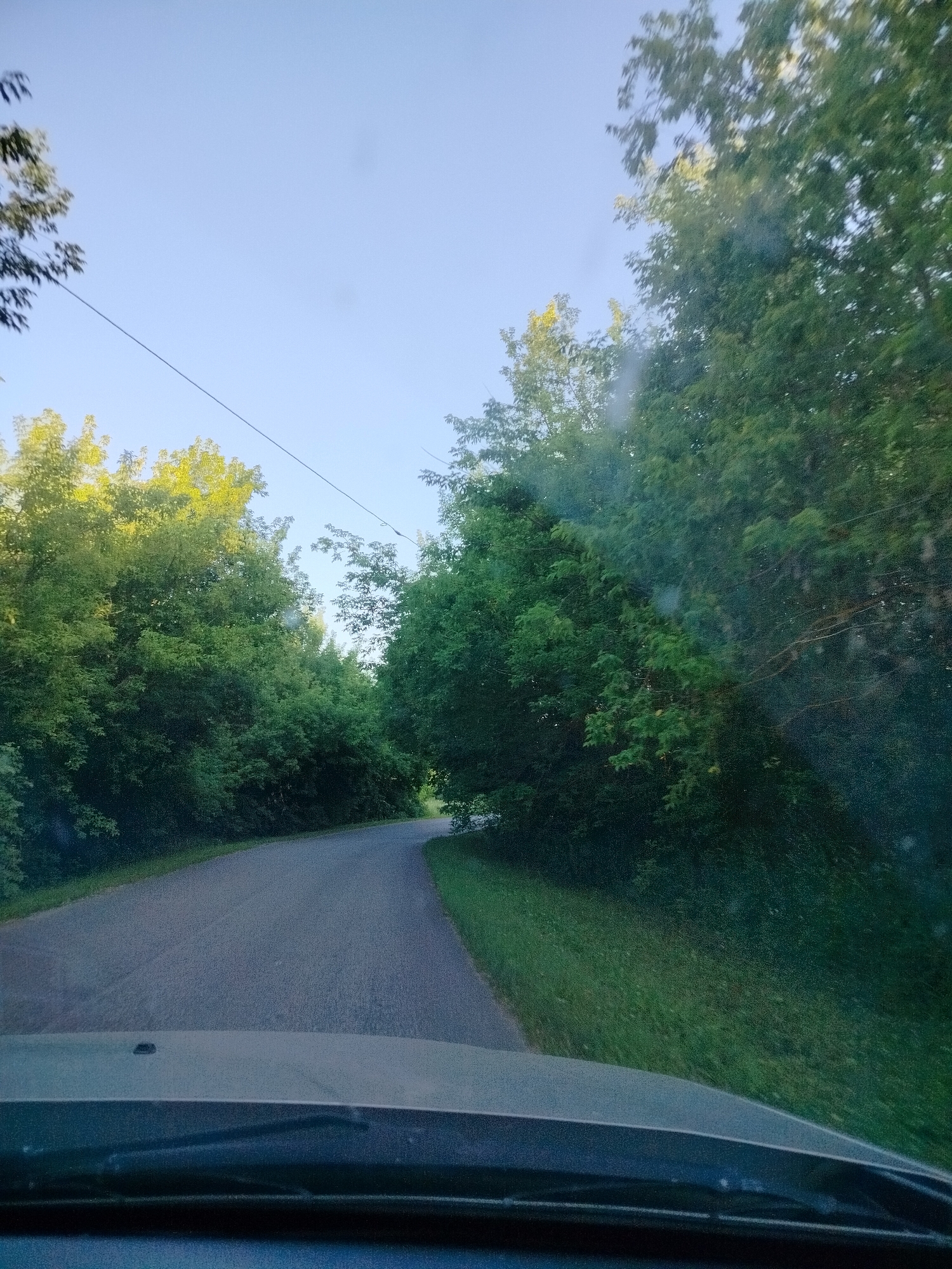 The image depicts a road winding through a dense forest. The road is paved with asphalt and appears to be a rural or suburban street. Lush green trees line both sides of the road, creating a canopy overhead in some areas. The sky is a clear blue, suggesting a sunny day. The perspective is from inside a vehicle, looking forward through a windshield, indicated by the presence of the hood and windshield wipers in the foreground. There are no people visible in the scene. The overall impression is one of a tranquil drive through a natural landscape. The location is identified as the city of Prokhozhe, Russia.