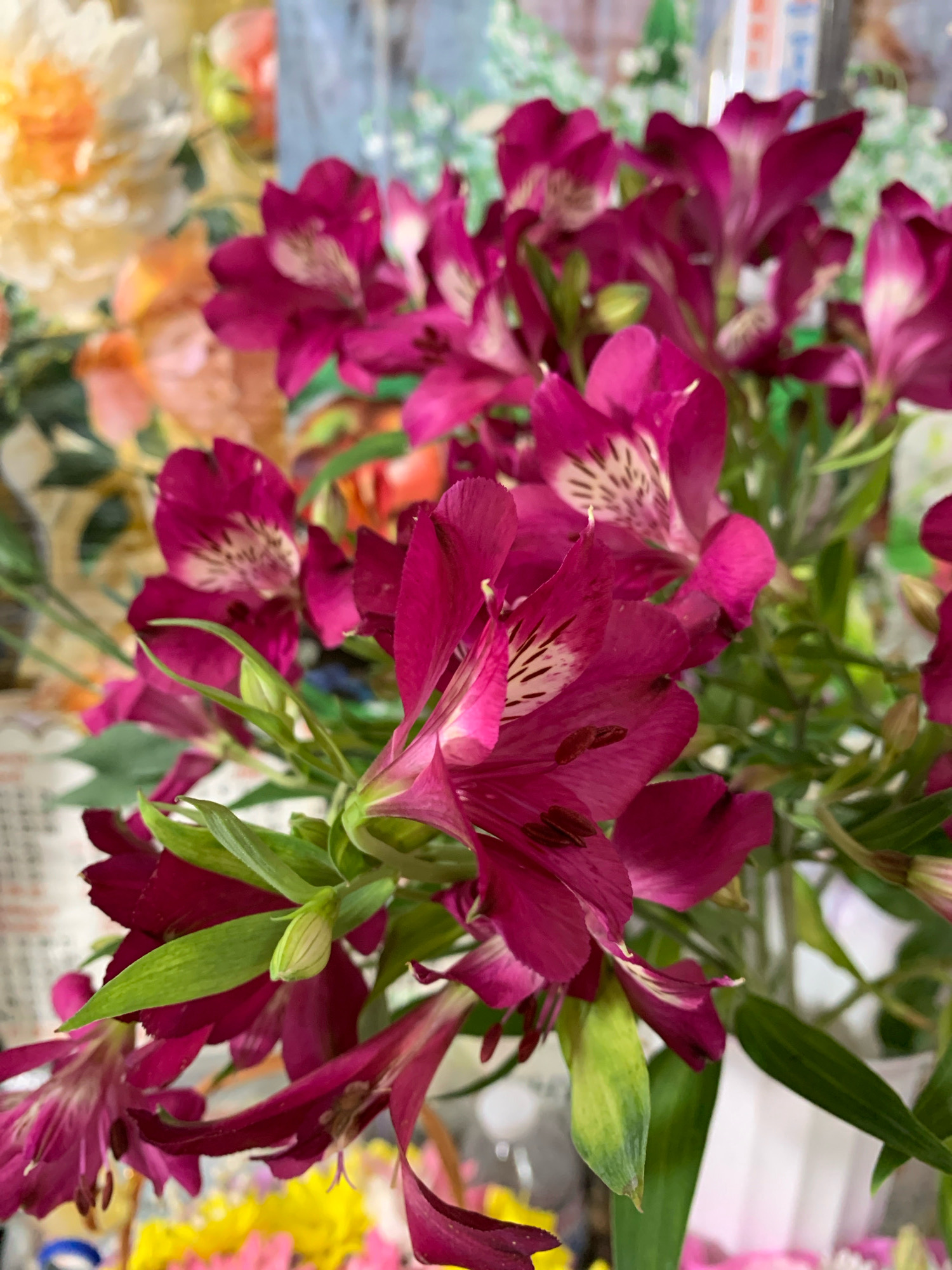 The image shows a close-up of a bouquet of vibrant fuchsia and magenta Alstroemeria flowers. The flowers have distinctive dark streaks on their petals. They are arranged with green stems and leaves, with some buds visible. In the blurred background, there are hints of other flowers in shades of yellow and white, suggesting a larger floral arrangement or a garden setting. The overall lighting is soft, highlighting the textures and colors of the flowers. The image does not contain any elements that indicate its location within the city of Sumy, Ukraine.