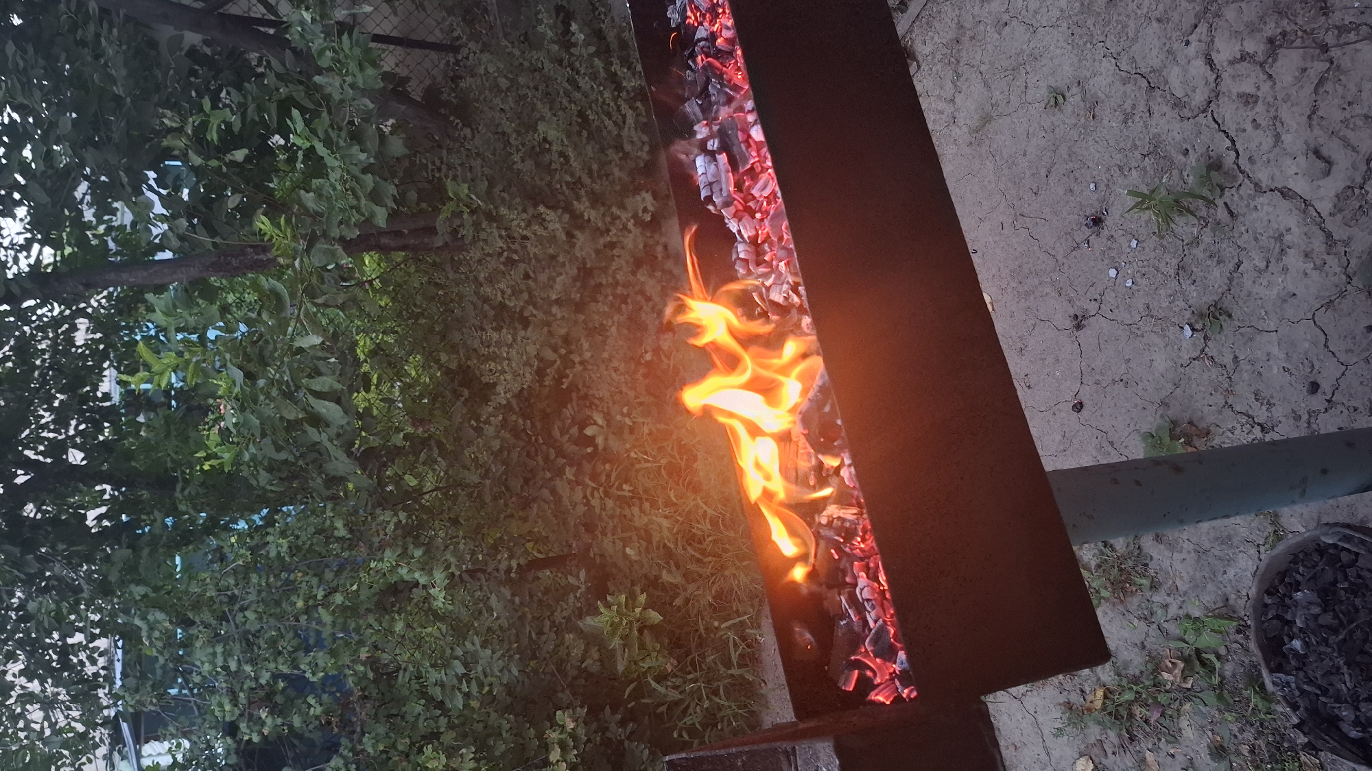 The image captures a close-up view of a barbecue grill filled with glowing coals and bright orange flames, set against a backdrop of dense green foliage and trees. The grill is a long, rectangular metal structure, likely made of steel, with some rust visible. The coals are predominantly red-hot, with some darker pieces interspersed, and the flames flicker dynamically. In the background, the greenery appears lush and somewhat untamed, suggesting an outdoor setting, possibly a backyard or a park area. The ground beneath the grill is dry and cracked earth, with sparse vegetation and a few scattered leaves or debris. To the left of the grill, a portion of a metal bucket filled with charcoal briquettes is visible. The overall lighting suggests it is either early morning or late evening. No people are visible in the frame. The scene is devoid of any specific urban architectural elements that would definitively place it in Шұбарсу, Kazakhstan; however, the description implies an outdoor recreational area within or adjacent to a residential setting.