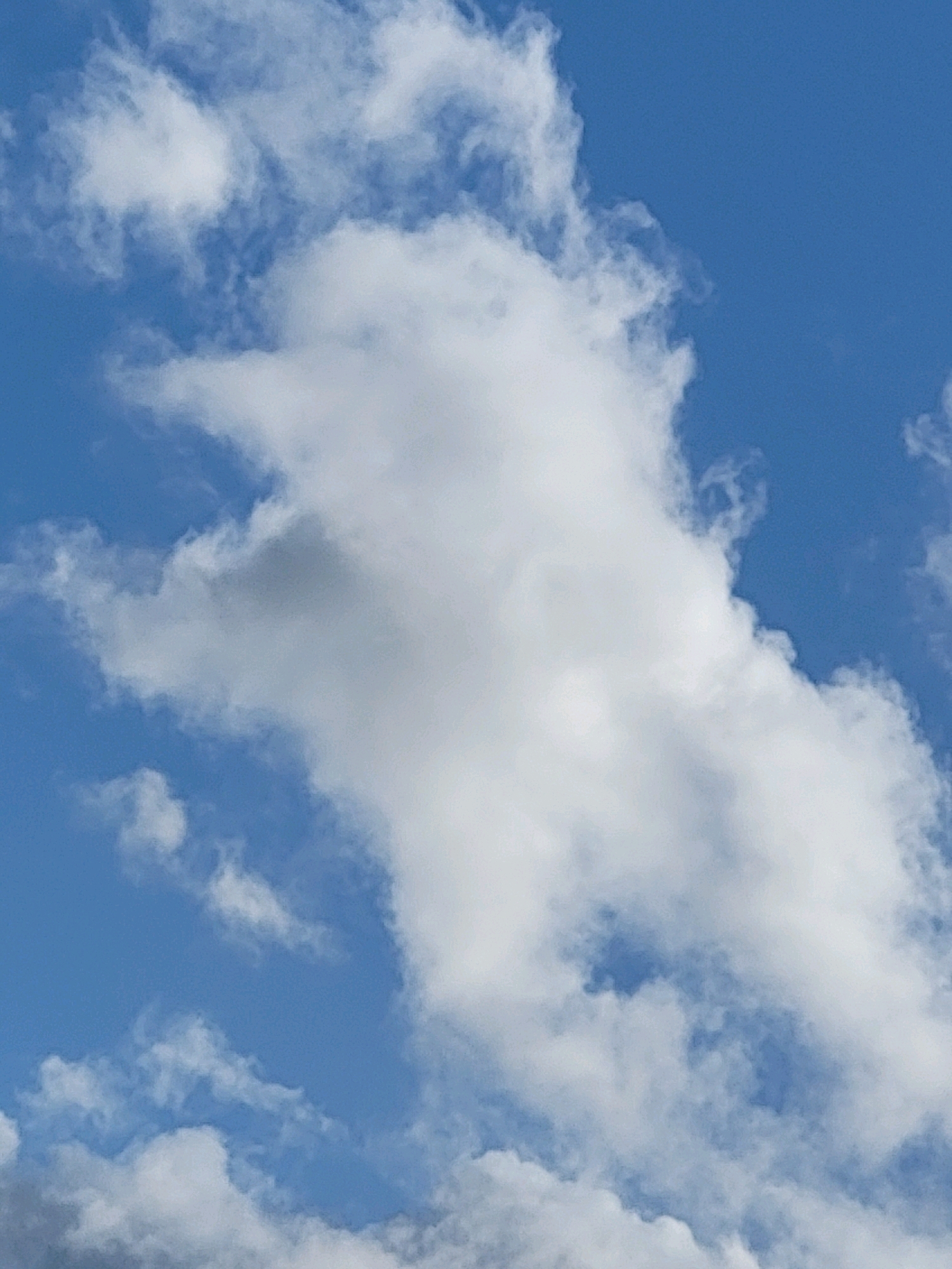 The image is a close-up of a bright blue sky with several fluffy white clouds. The clouds are varied in size and shape, with some appearing wispy and others more dense. The lighting suggests it is daytime. There is no discernible location in the city of Jelgava, Latvia, as the image exclusively features the sky. No people, subjects, objects, actions, or interactions are visible. The environment is solely the sky and clouds.