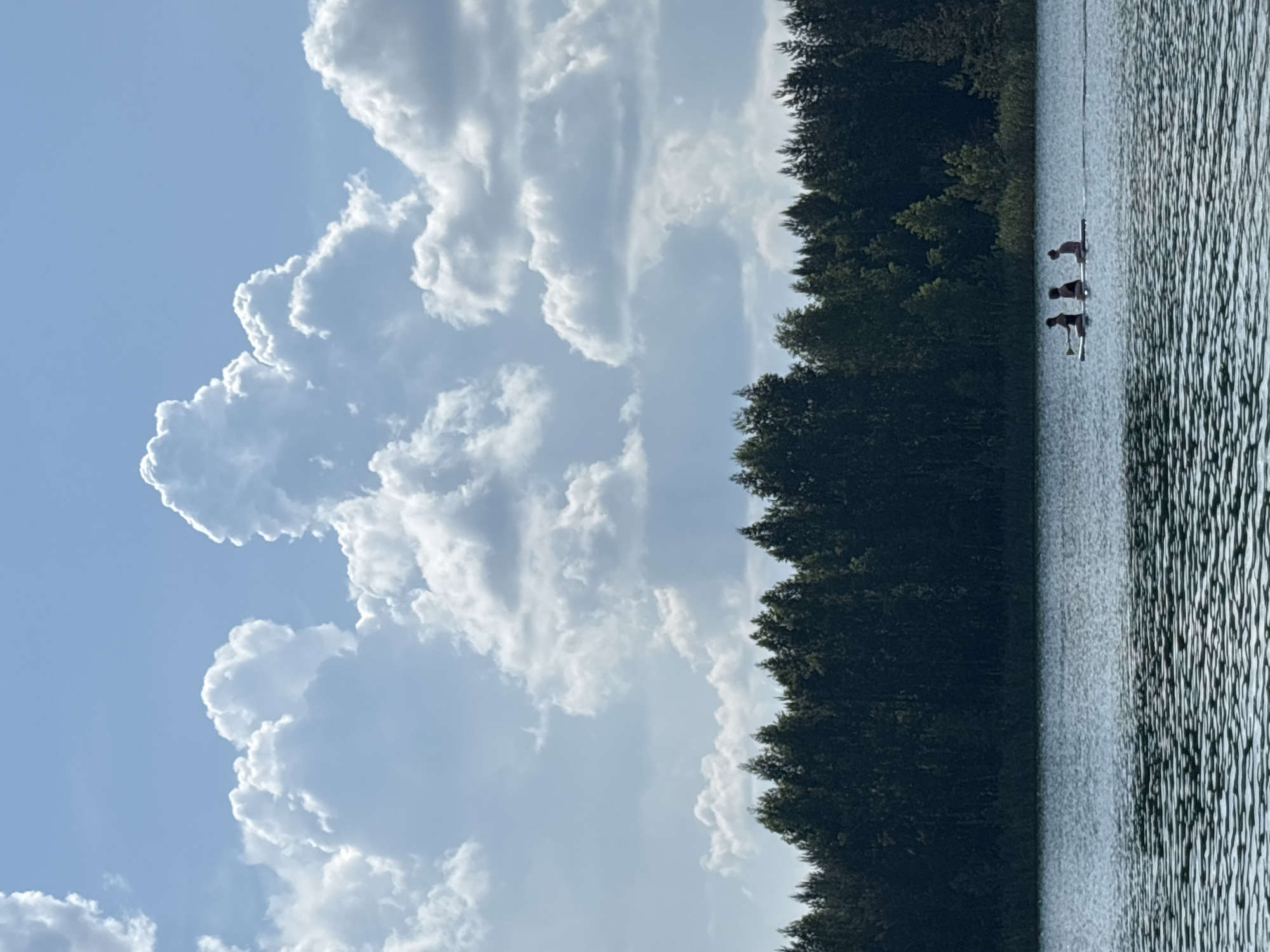 The image captures a serene natural landscape with a wide, calm body of water in the foreground. In the middle ground, a dense, dark green forest of trees lines the shore. Three individuals are visible in the background, each on a paddleboard, gliding across the water. They are positioned in a line, with the person on the left appearing to be paddling. The sky above is a bright, clear blue, punctuated by dramatic, puffy white clouds that create a sense of depth and scale. The overall scene evokes a feeling of tranquility and outdoor recreation, possibly in a rural or natural park setting like those found near Novyi, Russia, known for its lakes and forests.