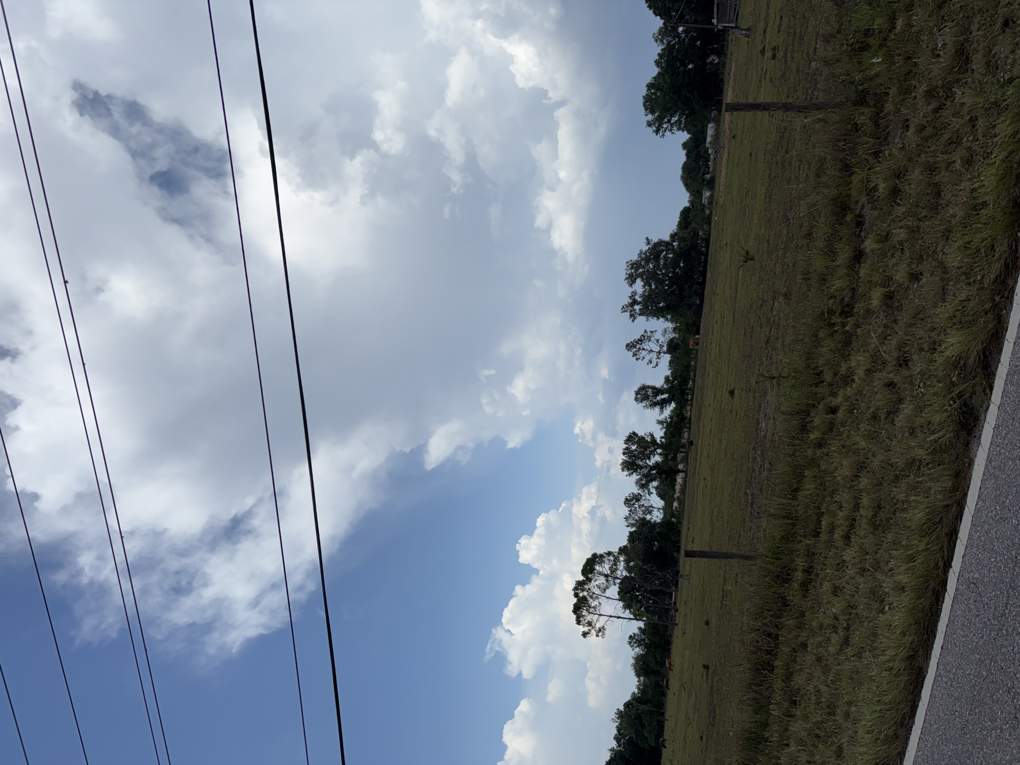 This is a photograph taken from a road in Parrish, Florida, United States. The image shows a rural landscape with a field, trees, and a cloudy sky. In the foreground, there is a patch of dry grass and a portion of a road. In the mid-ground, there is a large, open field with several cows grazing. A wooden fence post is visible in the field. In the background, there is a line of trees. The sky is filled with dramatic clouds, with patches of blue sky visible. The overall impression is one of a typical rural scene on a cloudy day.