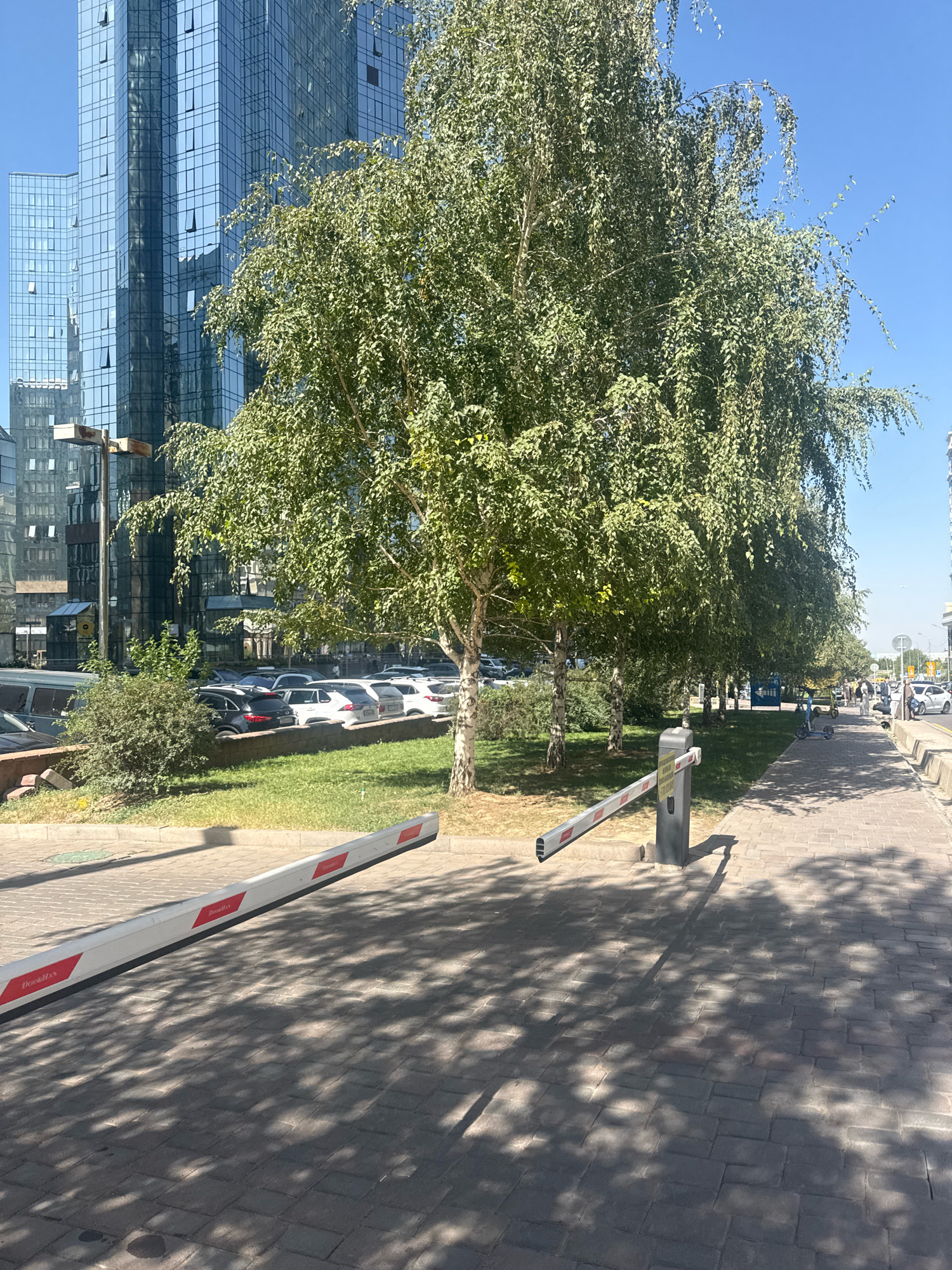 The image depicts a street scene in Almaty, Kazakhstan, on a sunny day. In the foreground, a white and red automatic barrier arm lies horizontally across a brick-paved sidewalk, casting dappled shadows from overhead trees. A metal post supporting the barrier arm stands to the right of the frame.
Behind the barrier, a grassy area is visible with several parked cars, including a dark SUV and several white sedans, facing away from the camera. A row of mature birch trees with full green foliage stands to the left of the grassy area, their branches extending across the frame.
In the background, a modern glass-fronted skyscraper with a blue-tinted facade dominates the left side of the image. Further down the street to the right, a sidewalk is visible with a few pedestrians and a scooter. The sky is clear blue. The overall impression is one of an urban environment integrated with green spaces.