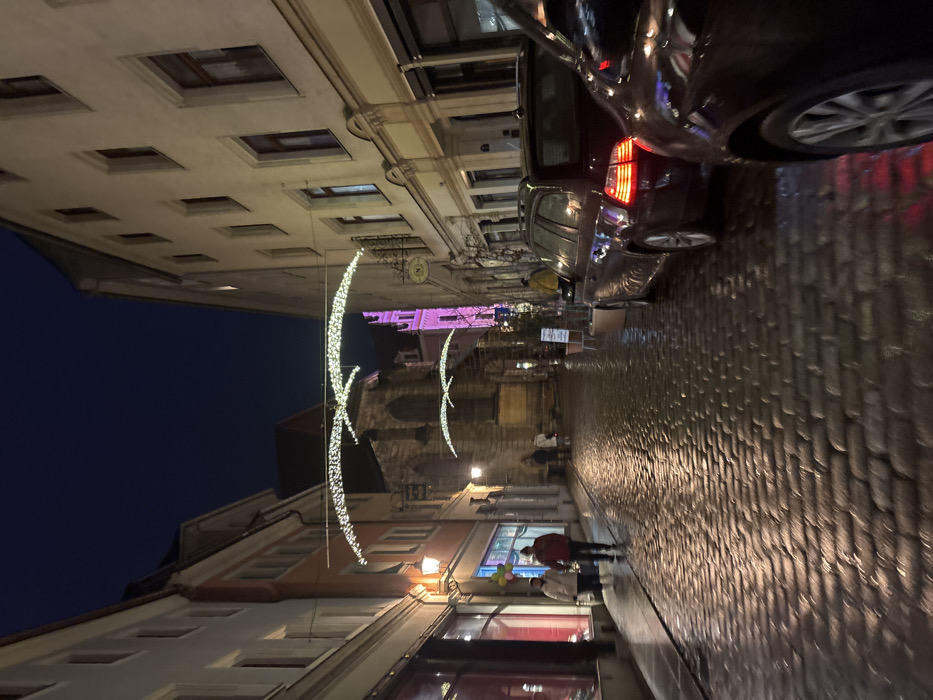 The image captures a narrow, wet cobblestone street in Meissen, Germany, at night or late evening. The street is lined with multi-story historic buildings featuring numerous windows. The cobblestones are highly reflective, indicating recent rain.
Above the street, several decorative white string lights are strung across, forming elegant, arching patterns that resemble stylized birds or waves. In the distance, a prominent building, possibly a church or castle tower, is visible and illuminated with a distinct purple light.
On the right side of the street, a dark-colored car is parked, with its taillights illuminated. Another car is partially visible behind it. Several people are visible on the street, including two more prominent figures in the foreground: one wearing a red jacket and another in a lighter-colored jacket. They appear to be walking along the street. A decorative clock face hangs on one of the buildings on the right.
The scene conveys a quiet, atmospheric evening in a historic town, enhanced by the festive lighting and the glistening wet street. No discernible text is visible on any signs or objects.