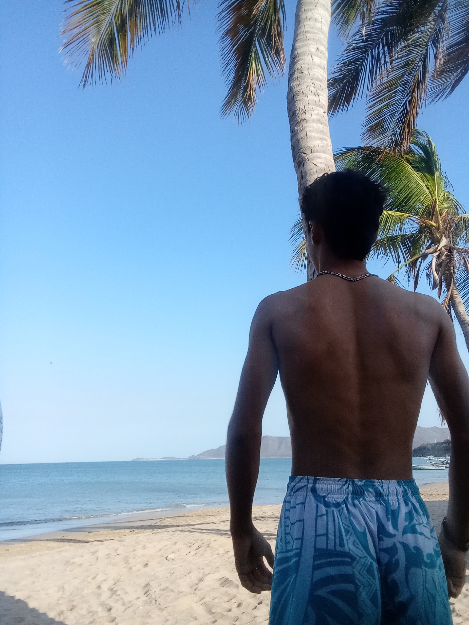 A man stands on a sandy beach, looking out toward the ocean in Juan Griego, Venezuela. The water is calm and a mountain can be seen in the distance. Palm trees are present around the man on the beach and the sky is clear and blue. The man is shirtless wearing blue printed shorts.