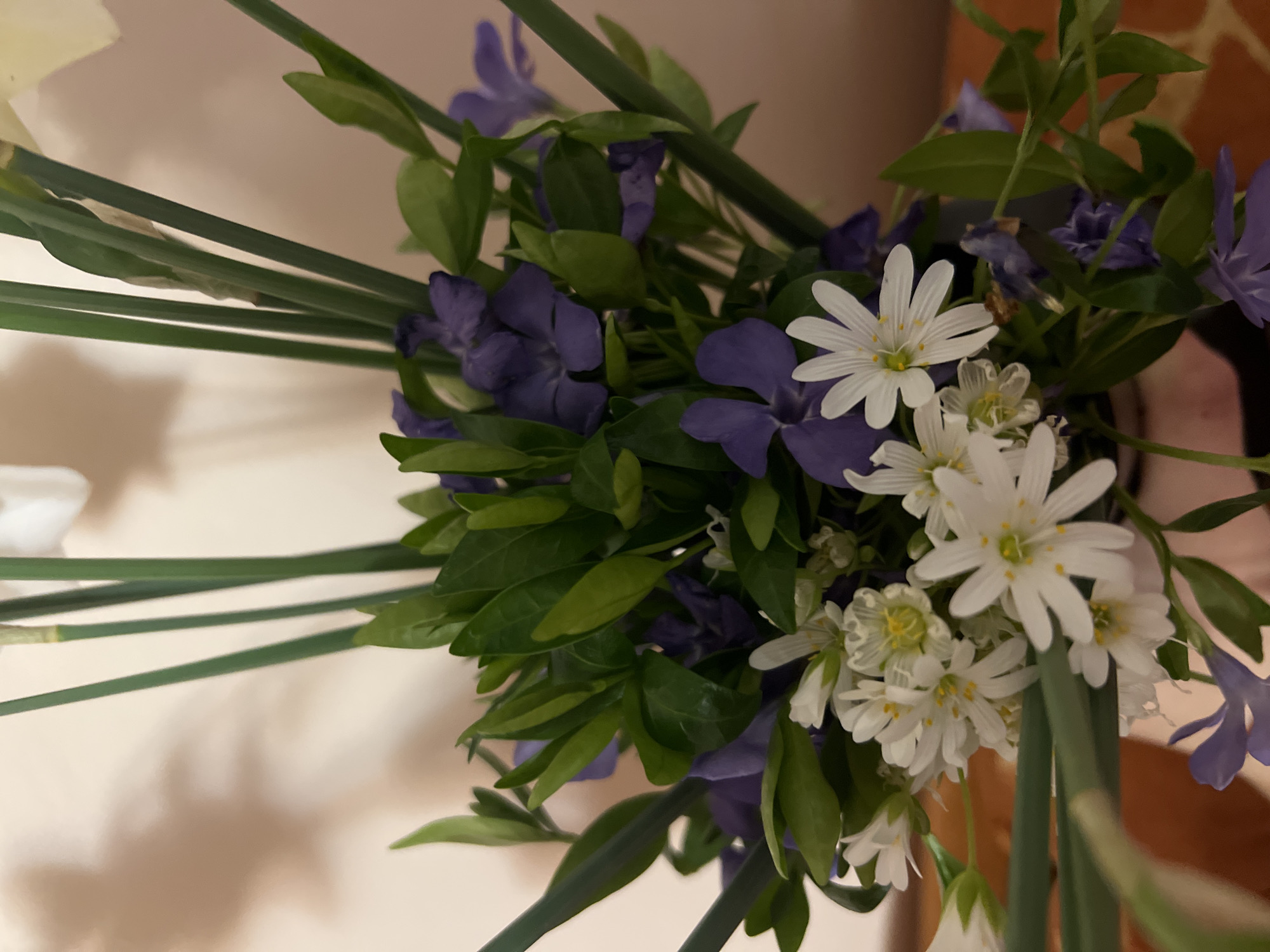 The image features a bouquet of flowers, including white star-shaped flowers, purple periwinkle flowers, green leaves, and green stems. The background is out of focus and appears to be a wall. The image doesn't provide enough information to determine the location in the city of Plovdiv, Bulgaria.