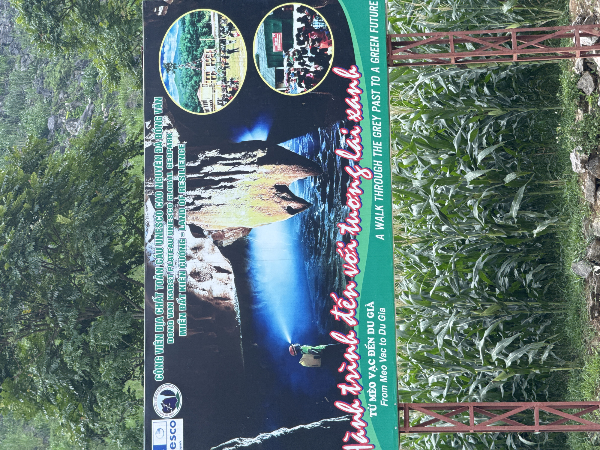The image captures a roadside sign in Đường Thượng Commune, Vietnam, likely at the entrance of the DONG VAN Karst Plateau UNESCO Global Geopark. The sign is rectangular with a dark background and green accent strip on the bottom half. It contains images, logos, and multilingual text (Vietnamese and English) describing the Geopark. The images include natural landscapes and tourism activities within the park. The sign is situated next to a corn field.
