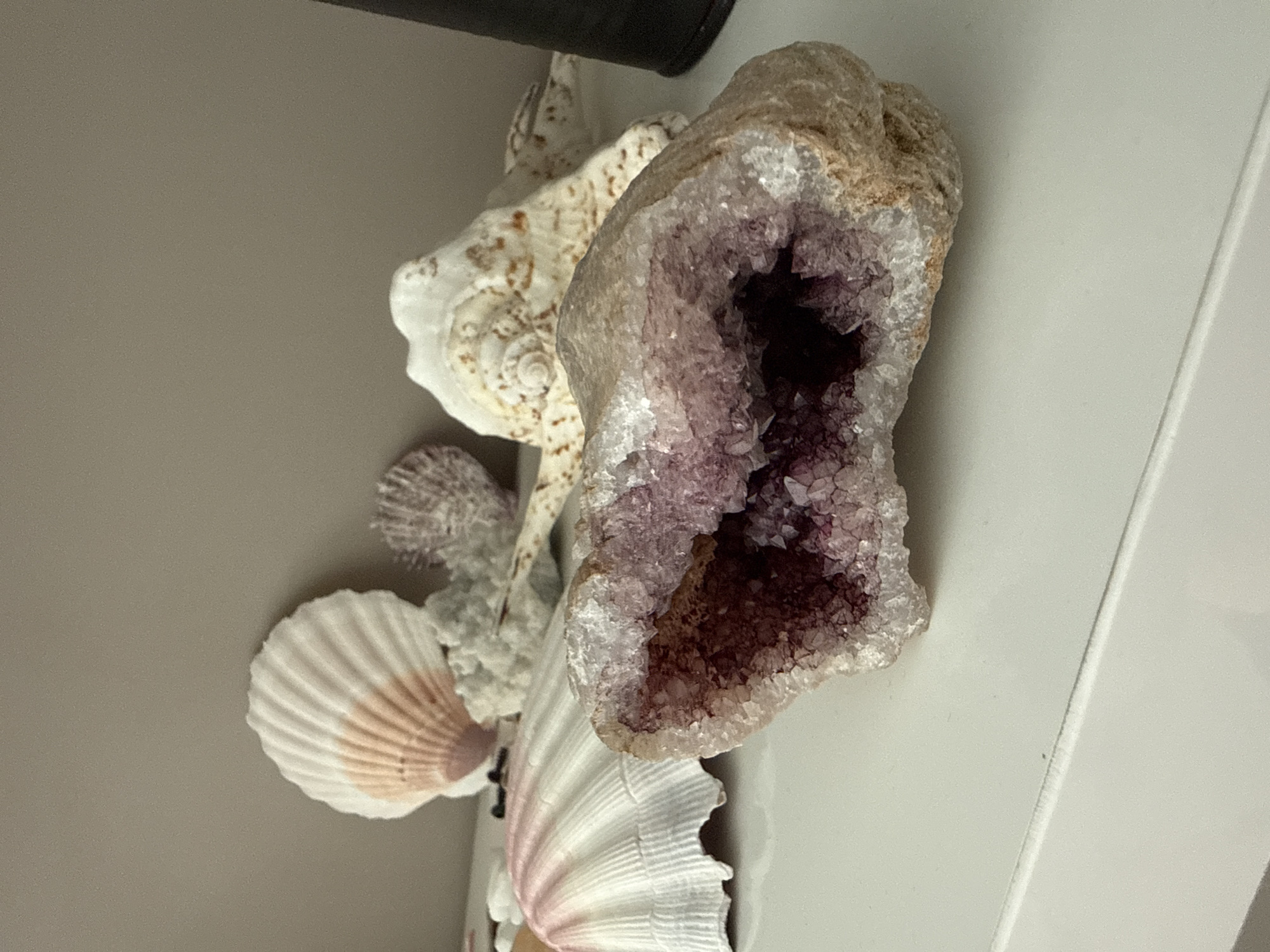 The image shows a close-up of a geode with purple crystals and several seashells on a white shelf. The background is a plain, neutral color wall. The geode is in the foreground, with its crystalline interior clearly visible. Several seashells are arranged behind the geode, varying in size and type. The lighting suggests an indoor setting, likely a home or display area. There is no indication of the location being in the city of Burgas, Bulgaria.
