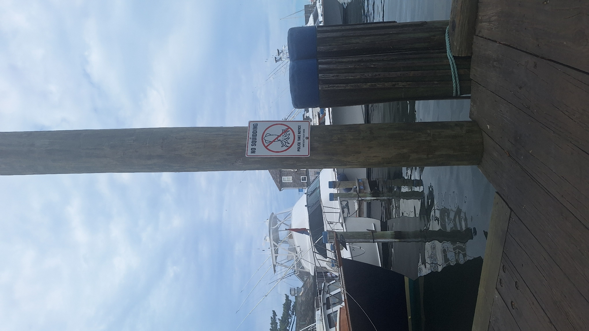 This is a vertical, medium-shot, eye-level photograph taken on a cloudy day in Nantucket, Massachusetts, United States of America. In the foreground, a wooden dock occupies the bottom third of the frame. Extending upwards from the dock is a thick, weathered wooden post, to which a sign is attached. The sign, with a red border, reads "NO SQUIDDING" and depicts a red circle with a diagonal line through a silhouette of a squid. Below the squid image, smaller text reads "POLICE TAKE NOTICE" and "NANTUCKET BOAT BASIN".
Behind the post, the water of a harbor is visible, reflecting the sky and surrounding boats. Several large, white yachts are moored in the harbor, their masts and fishing gear extending into the sky. A few other boats are partially visible, along with some buildings in the background. Two large, dark blue cylindrical fenders are attached to a series of vertical wooden pilings to the right of the main post. A light green rope is wrapped around one of these pilings. The overall scene depicts a marina environment with a specific prohibition against squid fishing.