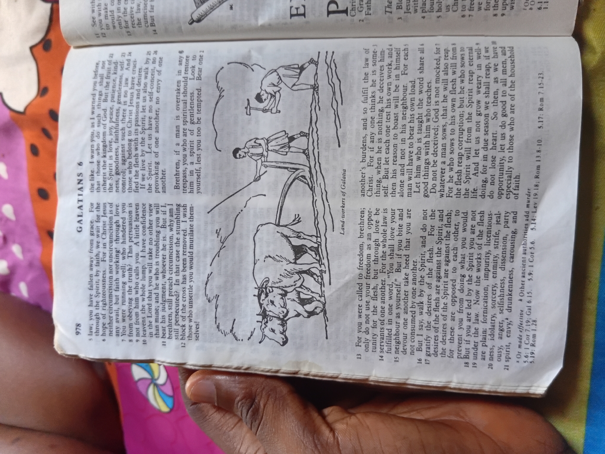 The image shows an open Bible, specifically the Book of Galatians, Chapter 6, with a page number of 978. The text is printed in English. There is a black and white illustration on the page depicting two oxen pulling a plow in the foreground, with two men working in a field in the background. The title of the illustration is "Land-workers of Galatia."
A person's hand with dark skin is visible on the left side of the image, holding the Bible open. The background is blurred but appears to be a colorful fabric with a circular pattern. The lighting suggests it is an indoor setting. The book appears worn, indicating it is frequently used.
No specific location in the city of Nkpor, Nigeria, can be identified from the image content. The image focuses solely on the Bible and the illustrative content within it.