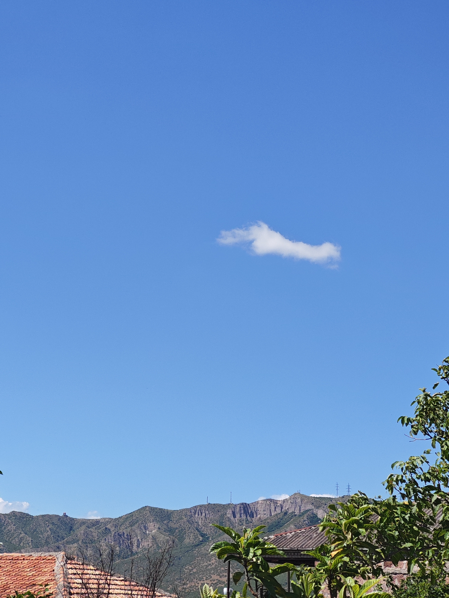 A vast, clear blue sky dominates the upper portion of the image, with a single, wispy white cloud positioned slightly off-center to the right. Below the sky, a range of rugged, green mountains stretches across the horizon. These mountains appear arid and covered in sparse vegetation, with some rocky outcrops and ridges visible.
In the foreground, the scene transitions to a residential area. The roof of a building, covered with orange-red tiles, is prominently displayed on the left side. To the right of the tiled roof, a building with a gray, corrugated roof is partially visible. Several trees with green foliage are scattered throughout the foreground, some appearing dense and leafy, while others are bare branches. A stone wall can also be seen behind the foliage. The overall impression is a view from a slightly elevated position, looking out over a village nestled against a mountainous backdrop under a bright, sunny sky. The image appears to be taken in Dzegvi, Georgia, given the distinctive mountainous landscape and architectural elements.