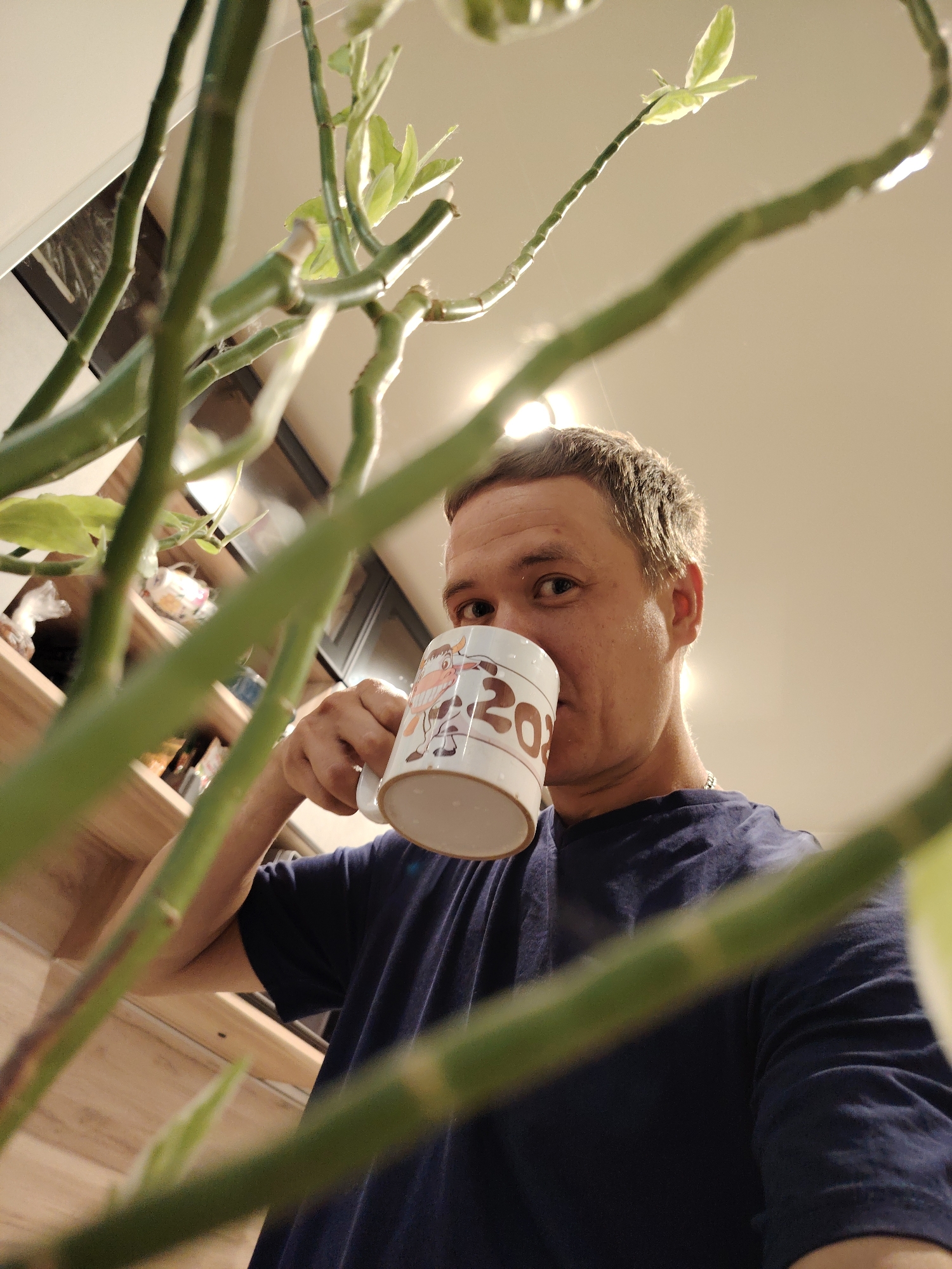 In this close-up, low-angle shot, a man is holding a white mug with cartoon cows and the text "2023" visible on it, taking a sip from it. He is wearing a dark blue t-shirt and a silver chain. The man is positioned in front of a shelf with various items, possibly in a home setting. The foreground is partially obscured by the blurred green stems and leaves of a houseplant. The lighting suggests it is daytime, with a warm glow. The man's expression is neutral as he looks directly at the camera. The overall scene appears to be indoors, possibly in a living room or kitchen, in Chaikovsky, Russia.