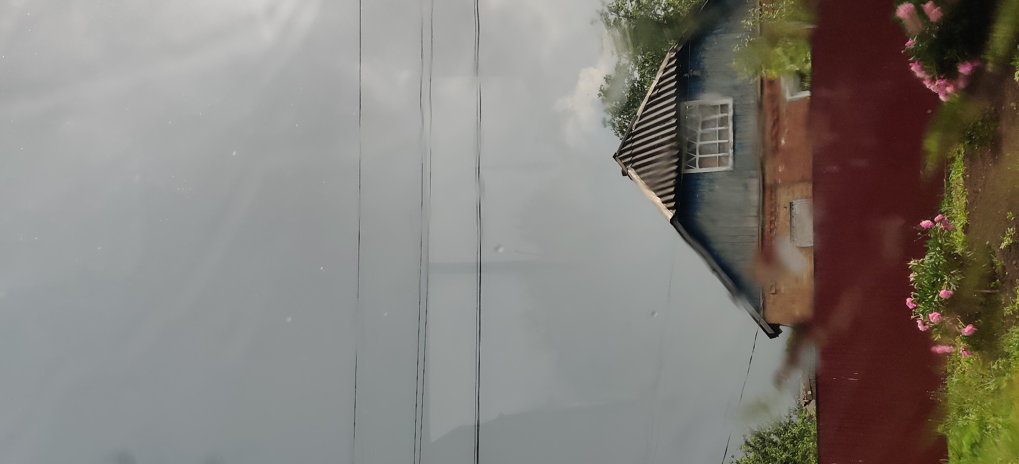 The image depicts a view from a window, likely in Shelestove, Ukraine, showing a rural or suburban scene. The sky is overcast and gray. Three parallel dark power lines are visible in the upper portion of the image. Below the power lines, the upper part of a two-story building is visible. The upper story has a steeply pitched roof covered with corrugated metal sheeting. A window with multiple panes is set into the gabled end of this story. The wall of the upper story is painted blue. The lower story of the building appears to be constructed of brick, with a lighter colored surface treatment. There is a closed window or door on this level. A dark red wooden fence runs horizontally across the middle ground of the image, partially obscuring the view of the building. In front of the fence, there is a garden with green grass and several bushes with pink flowers. Some of the flowers appear to be peonies. The foreground is blurred, suggesting it is close to the camera lens, possibly indicating the presence of water droplets on the window pane.